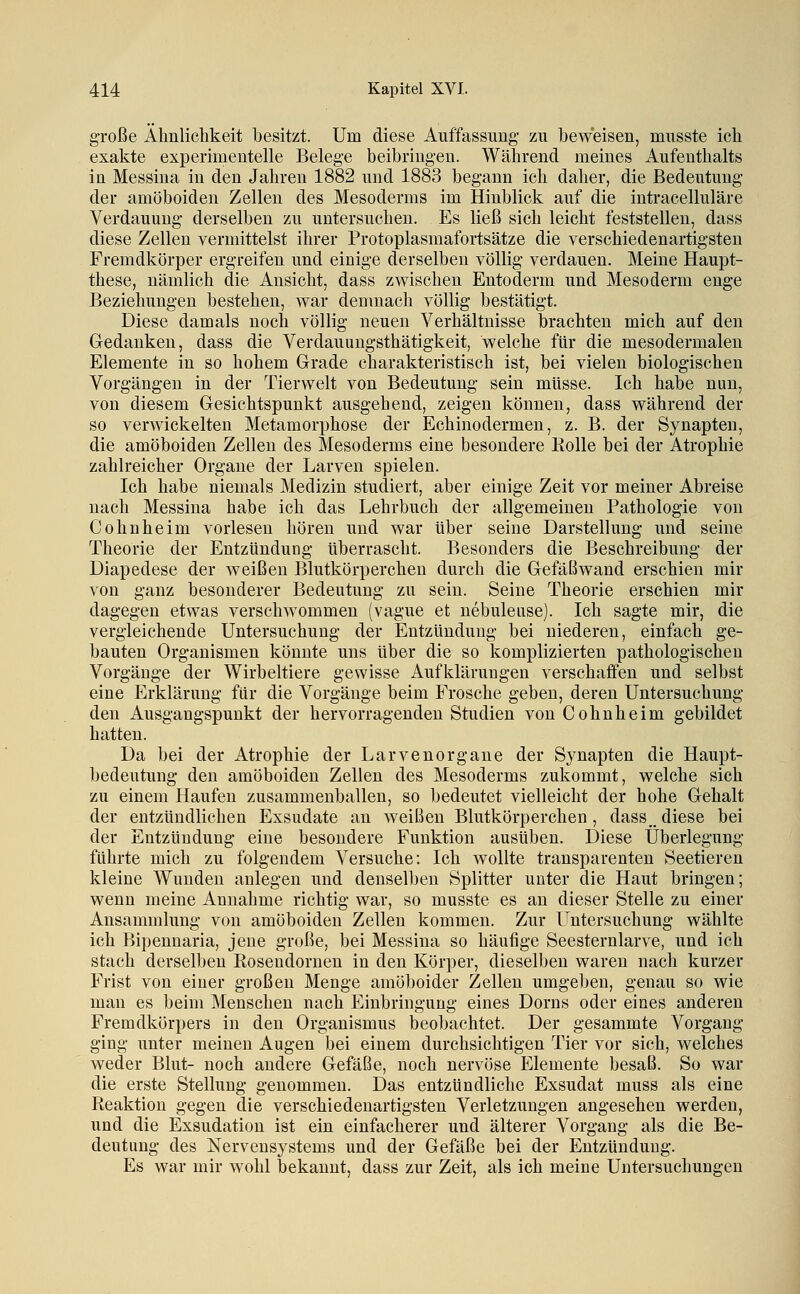 große Ähnlichkeit besitzt. Um diese Auffassung zu beweisen, musste ich exakte experimentelle Belege beibringen. Während meines Aufenthalts in Messiua in den Jahren 1882 und 1883 begann ich daher, die Bedeutung der amöboiden Zellen des Mesoderms im Hinblick auf die intracelluläre Verdauung derselben zu untersuchen. Es ließ sich leicht feststellen, dass diese Zellen vermittelst ihrer Protoplasmafortsätze die verschiedenartigsten Fremdkörper ergreifen und einige derselben völlig verdauen. Meine Haupt- these, nämlich die Ansicht, dass zwischen Entoderm und Mesoderm enge Beziehungen bestehen, war demnach völlig bestätigt. Diese damals noch völlig neuen Verhältnisse brachten mich auf den Gedanken, dass die Verdauungsthätigkeit, welche für die mesodermalen Elemente in so hohem Grade charakteristisch ist, bei vielen biologischen Vorgängen in der Tierwelt von Bedeutung sein miisse. Ich habe nun, von diesem Gesichtspunkt ausgehend, zeigen können, dass während der so verwickelten Metamorphose der Echinodermen, z. B. der Synapten, die amöboiden Zellen des Mesoderms eine besondere Rolle bei der Atrophie zahlreicher Organe der Larven spielen. Ich habe niemals Medizin studiert, aber einige Zeit vor meiner Abreise nach Messina habe ich das Lehrbuch der allgemeinen Pathologie von Cohnheim vorlesen hören und war über seine Darstellung und seine Theorie der Entzündung überrascht. Besonders die Beschreibung der Diapedese der weißen Blutkörperchen durch die Gefäßwand erschien mir von ganz besonderer Bedeutung zu sein. Seine Theorie erschien mir dagegen etwas verschwommen (vague et nebuleiise). Ich sagte mir, die vergleichende Untersuchung der Entzündung bei niederen, einfach ge- bauten Organismen könnte uns über die so komplizierten pathologischen Vorgänge der Wirbeltiere gewisse Aufklärungen verschaffen und selbst eine Erklärung für die Vorgänge beim Frosche geben, deren Untersuchung den Ausgangspunkt der hervorragenden Studien von Cohnheim gebildet hatten. Da bei der Atrophie der Larvenorgane der Synapten die Haupt- bedeutung den amöboiden Zellen des Mesoderms zukommt, welche sich zu einem Haufen zusammenballen, so bedeutet vielleicht der hohe Gehalt der entzündlichen Exsudate an weißen Blutkörperchen, dass,. diese bei der Entzündung eine besondere Funktion ausüben. Diese Überlegung führte mich zu folgendem Versuche: Ich wollte transparenten Seetieren kleine Wunden anlegen und denselben Splitter unter die Haut bringen; wenn meine Annahme richtig war, so musste es an dieser Stelle zu einer Ansammlung von amöboiden Zellen kommen. Zur Untersuchung wählte ich Bipennaria, jene große, bei Messina so häufige Seesternlarve, und ich stach derselben Rosendornen in den Körper, dieselben waren nach kurzer Frist von einer großen Menge amöboider Zellen umgeben, genau so wie man es beim Menschen nach Einbringung eines Dorns oder eines anderen Fremdkörpers in den Organismus beobachtet. Der gesammte Vorgang ging unter meinen Augen bei einem durchsichtigen Tier vor sich, welches weder Blut- noch andere Gefäße, noch nervöse Elemente besaß. So war die erste Stellung genommen. Das entzündliche Exsudat muss als eine Reaktion gegen die verschiedenartigsten Verletzungen angesehen werden, und die Exsudation ist ein einfacherer und älterer Vorgang als die Be- deutung des Nervensystems und der Gefäße bei der Entzündung. Es war mir wohl bekannt, dass zur Zeit, als ich meine Untersuchungen