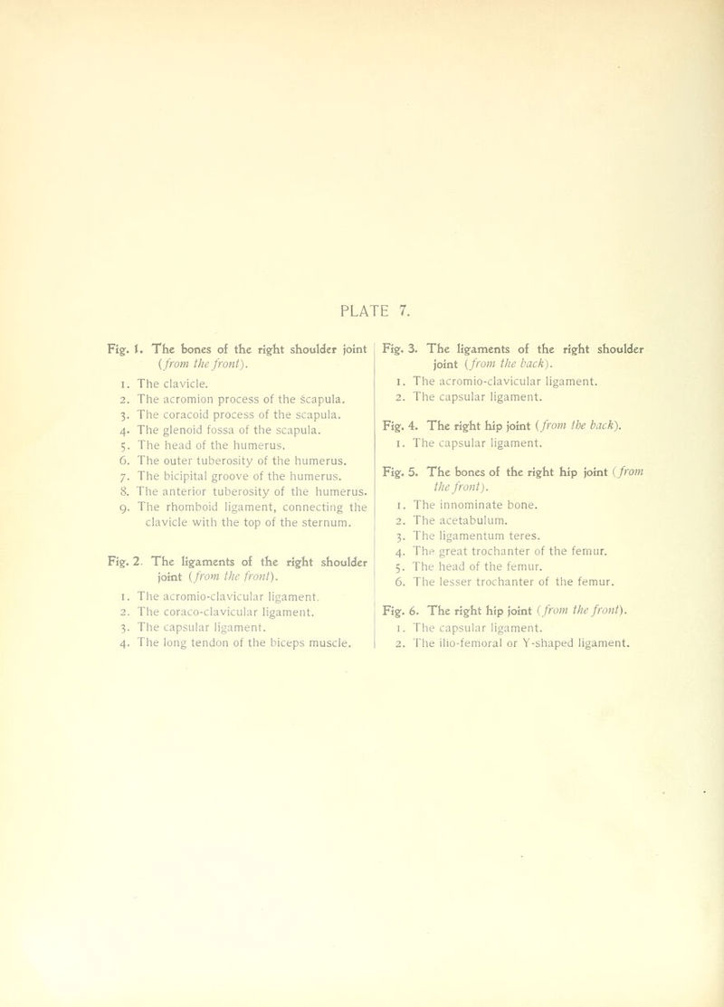 Fig. i. The bones of the right shoulder joint {from the front). 1. The clavicle. 2. The acromion process of the scapula. 3. The coracoid process of the scapula. 4. The glenoid fossa of the scapula. 5. The head of the humerus. 6. The outer tuberosity of the humerus. 7. The bicipital groove of the humerus. 8. The anterior tuberosity of the humerus. 9. The rhomboid ligament, connecting the clavicle with the top of the sternum. Fig. 2. The ligaments of the right shoulder joint {from the front). 1. Tlie acromio-clavicular ligament. 2. The coraco-clavicular ligament. 3. The capsular ligament. 4. The long tendon of the biceps muscle. Fig. 3. The ligaments of the right shoulder joint {from the back). 1. The acromio-clavicular ligament. 2. The capsular ligament. Fig. 4. The right hip joint {from the back). I. The capsular ligament. Fig. 5. The bones of the right hip joint {from the front). 1. The innominate bone. 2. The acetabulum. 3. The ligamentum teres. 4. The great trochanter of the femur. 5. The head of the femur. 6. The lesser trochanter of the femur. Fig. 6. The right hip joint (from the front). \. The capsular ligament. 2. The ilio-femoral or Y-shaped ligament.