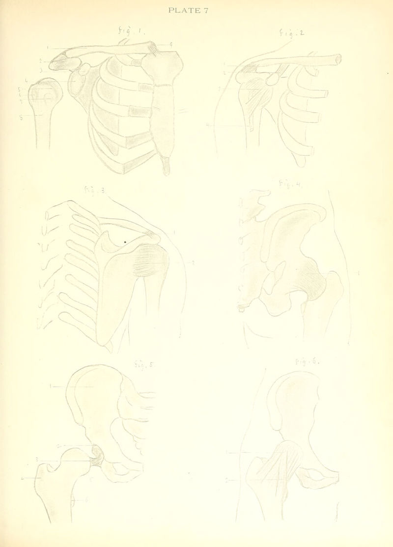 y^^' 3 3->- I ft . 2- j /-•' 3 /V 0i ( 7? ■ ^:;.^^ \-l :j 0 i-^\ ■ 6, x \ ^.._.. \ i \ f \