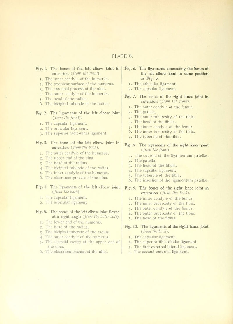Fig. I. The bones of the left elbow joint in extension {from the front). 1. The inner condyle of the humerus. 2. The trochlear surface of the humerus. 3. The coronoid process of the ulna. 4. The outer condyle of the humerus. 5. The head of the radius. 6. The bicipital tubercle of the radius. Figf. 2. The ligfaments of the left elbow joint {from the front). 1. The capsular ligament. 2. The orbicular ligament. 3. The superior radio-ulnar ligament. Figf. 3. The bones of the left elbow joint in extension {from the bach). 1. The outer condyle of the humerus. 2. The upper end of the ulna. 3. The head of the radius. 4. The bicipital tubercle of the radius. 5. The inner condyle of the humerus. 6. The olecranon process of the ulna. Fig. 4. The ligaments of the left elbow joint {from the back). 1. The capsular ligament. 2. The orbicular ligament Fig. 5. The bones of the left elbow joint flexed at a right angle {from the outer side). 1. The lower end of the humerus. 2. The head of the radius. 3. The bicipital tubercle of the radius. 4. The outer condyle of the humerus. 5. The sigmoid cavity of the upper end of the ulna. 6. The olecranon process of the ulna. Fig. 6. The ligaments connecting the bones of the left elbow joint in same position as Fig. 5. 1. The orbicular ligament. 2. The capsular ligament. Fig. 7. The bones of the right knee joint in extension {from the front). 1. The outer condyle of the femur. 2. The patella. 3. The outer tuberosity of the tibia. 4. The head of the fibula. 5. The inner condyle of the femur. 6. The inner tuberosity of the tibia. 7. The tubercle of the tibia. Fig. 8. The ligaments of the right knee joint {from the front). I., The cut end of the ligamentum patellae. 2. The patella. 3. The head of the fibula. 4. The capsular ligament. 5. The tubercle of the tibia. 6. The insertion of the ligamentum patellae. Fig. 9. The bones of the right knee joint in extension {from the bach). 1. The inner condyle of the femur. 2. The inner tuberosity of the tibia. 3. The outer condyle of the femur. 4. The outer tuberosity of the tibia. 5. The head of the fibula. Fig. 10. The ligaments of the right knee joint {from the bach). 1. The capsular ligament. 2. The superior tibio-fibuiar ligament. 3. The first external lateral ligament. 4. The second external ligament.