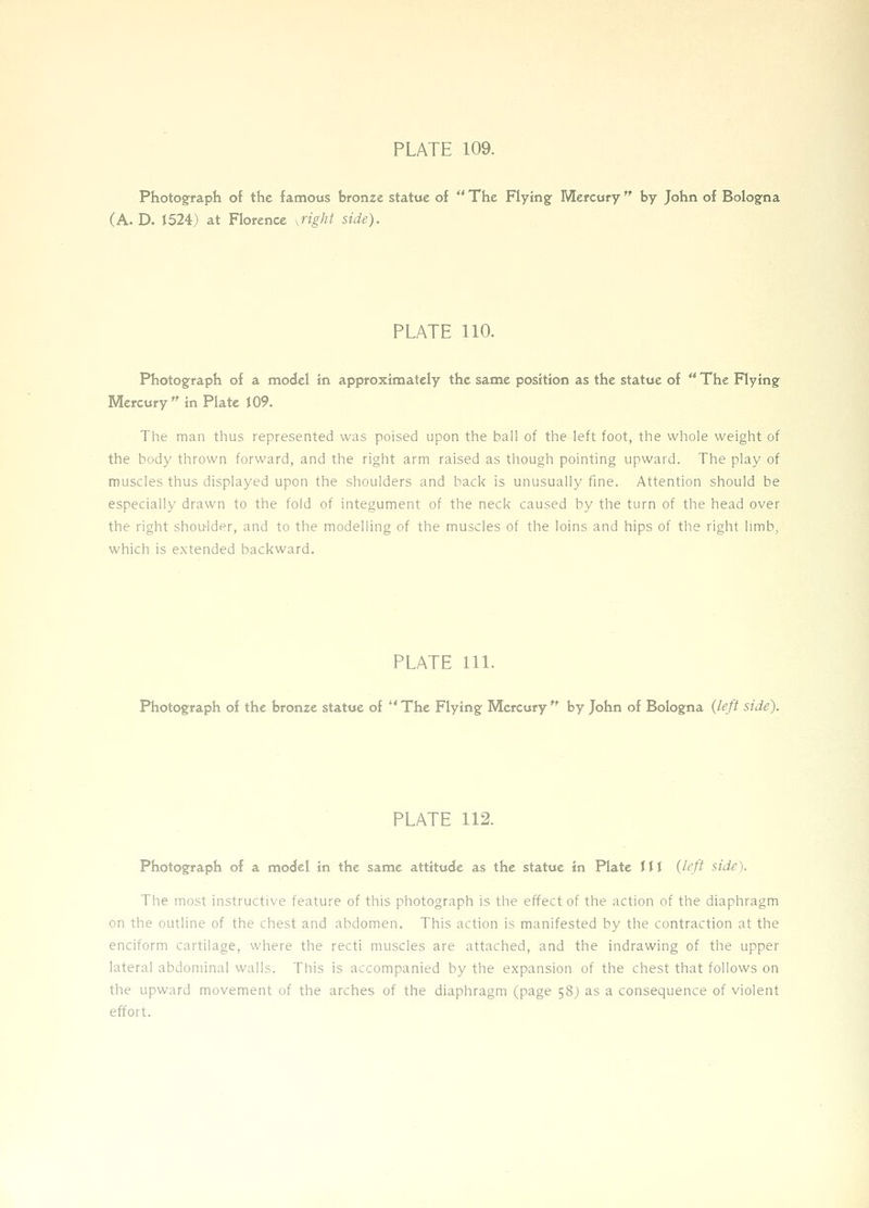 Photograph of the famous bronze statue of  The Flyingf Mercury by John of Bologna (A. D. 1524) at Florence •.right side). PLATE no. Photograph of a model in approximately the same position as the statue of  The Flying Mercury  in Plate t09. The man thus represented was poised upon the ball of the left foot, the whole weight of the body thrown forward, and the right arm raised as though pointing upward. The play of muscles thus displayed upon the shoulders and back is unusually fine. Attention should be especially drawn to the fold of integument of the neck caused by the turn of the head over the right shou-lder, and to the modelling of the muscles of the loins and hips of the right limb, which is extended backward. PLATE 111. Photograph of the bronze statue of  The Flying Mercury  by John of Bologna {left side). PLATE 112. Photograph of a model in the same attitude as the statue in Plate III {left side). The most instructive feature of this photograph is the effect of the action of the diaphragm on the outline of the chest and abdomen. This action is manifested by the contraction at the enciform cartilage, where the recti muscles are attached, and the indrawing of the upper lateral abdominal walls. This is accompanied by the expansion of the chest that follows on the upward movement of the arches of the diaphragm (page 58) as a consequence of violent effort.