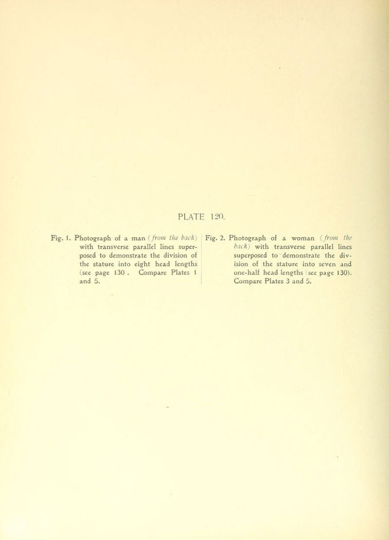 PLATE 120. Fig. J. Photograph of a man. {from the back) with transverse parallel lines super- posed to demonstrate the division of the stature into eight head lengths (see page t30 . Compare Plates J and 5. Fig. 2. Photograph of a woman {from the back) with transverse parallel lines superposed to demonstrate the div- ision of the stature into seven and one-half head lengths (see page t30). Compare Plates 3 and 5.