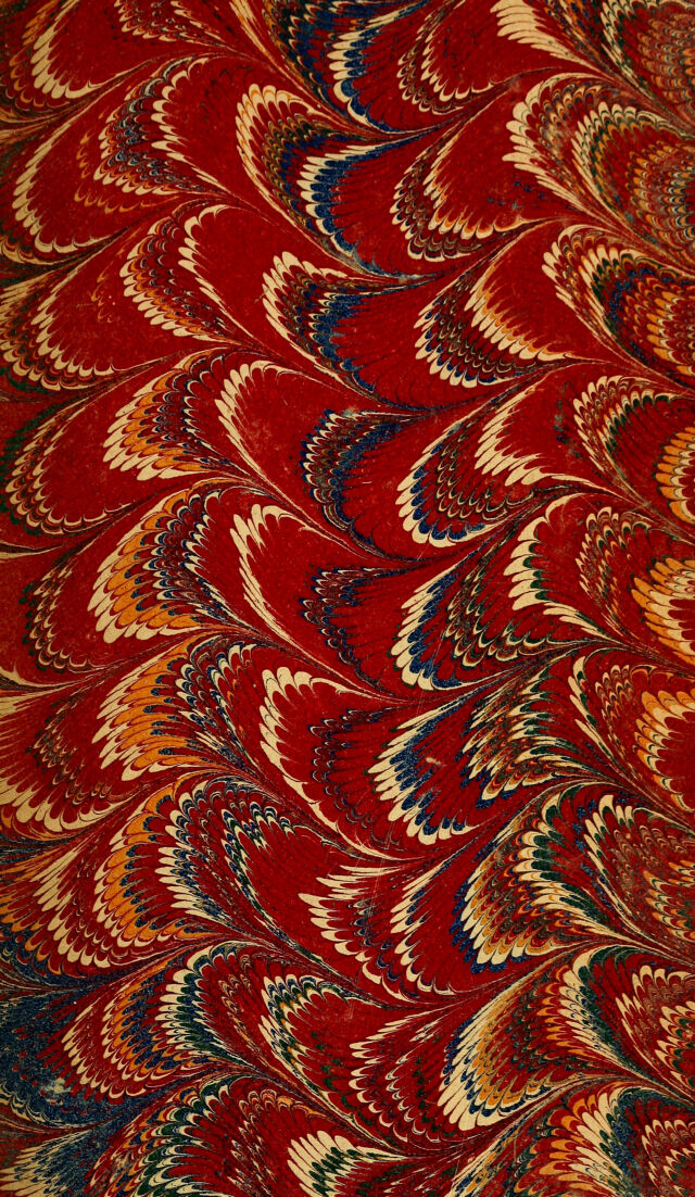 No text description is available for this image