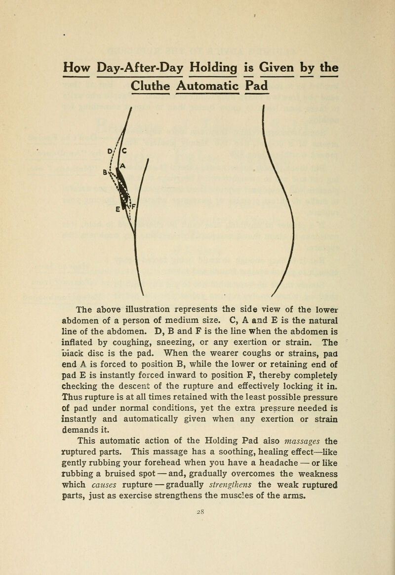 How Day-After-Day Holding is Given by the Cluthe Automatic Pad D/ /C S/F The above illustration represents the side view of the lower abdomen of a person of medium size. C, A and E is the natural line of the abdomen. D, B and F is the line when the abdomen is inflated by coughing, sneezing, or any exertion or strain. The biack disc is the pad. When the wearer coughs or strains, paa end A is forced to position B, while the lower or retaining end of pad E is instantly forced inward to position F, thereby completely checking the descent of the rupture and effectively locking it in. Thus rupture is at all times retained with the least possible pressure of pad under normal conditions, yet the extra pressure needed is instantly and automatically given when any exertion or strain demands it. This automatic action of the Holding Pad also massages the ruptured parts. This massage has a soothing, healing effect—hke gently rubbing your forehead when you have a headache — or like rubbing a bruised spot — and, gradually overcomes the weakness which causes rupture — gradually strengthens the weak ruptured parts, just as exercise strengthens the muscles of the arms.