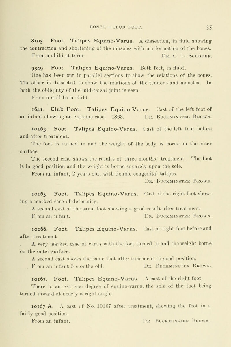 8103. Foot. Talipes Equino-Varus. A dissection, in fluid showing the contraction and shortening of the muscles with malformation of the bones. From a child at term. Dr. C. L. Scudder. 9349. Foot. Talipes Equino-Varus. Both feet, in fluid. One has been cut in parallel sections to show the relations of the bones. The other is dissected to show the relations of the tendons and muscles. In both the obliquity of the mid-tarsal joint is seen. From a still-born child. 1641. Club Foot. Talipes Equino-Varus. Cast of the left foot of an infant showing an extreme case. 1863. Dr. Buckminster Brown. 10163. Foot. Talipes Equino-Varus. Cast of the left foot before and after treatment. The foot is turned in and the weight of the body is borne on the outer surface. The second cast shows the results of three months' treatment. The foot is in good position and the weight is borne squarely upon the sole. From an infant, 2 years old, with double congenital talipes. Dr. Buckminster Brown. 10165. Foot. Talipes Equino-Varus. Cast of the right foot show- ing a marked case of deformity. A second cast of the same foot showing a good result after treatment. From an infant. Dr. Buckminster Brown. 10166. Foot. Talipes Equino-Varus. Cast of right foot before and after treatment A very marked case of varus with the foot turned in and the weight borne on the outer surface. A second cast shows the same foot after treatment in good position. From an infant 8 months old. Dr. Buckminster Brown. 10167. Foot. Talipes Equino-Varus. A cast of the right foot. There is an extreme degree of equino-varus, the sole of the foot being turned inward at nearly a right angle. 10167 A. A cast of No. 10167 after treatment, showing the foot in a fairly good position. From an infant. Dr Buckminster Brown.