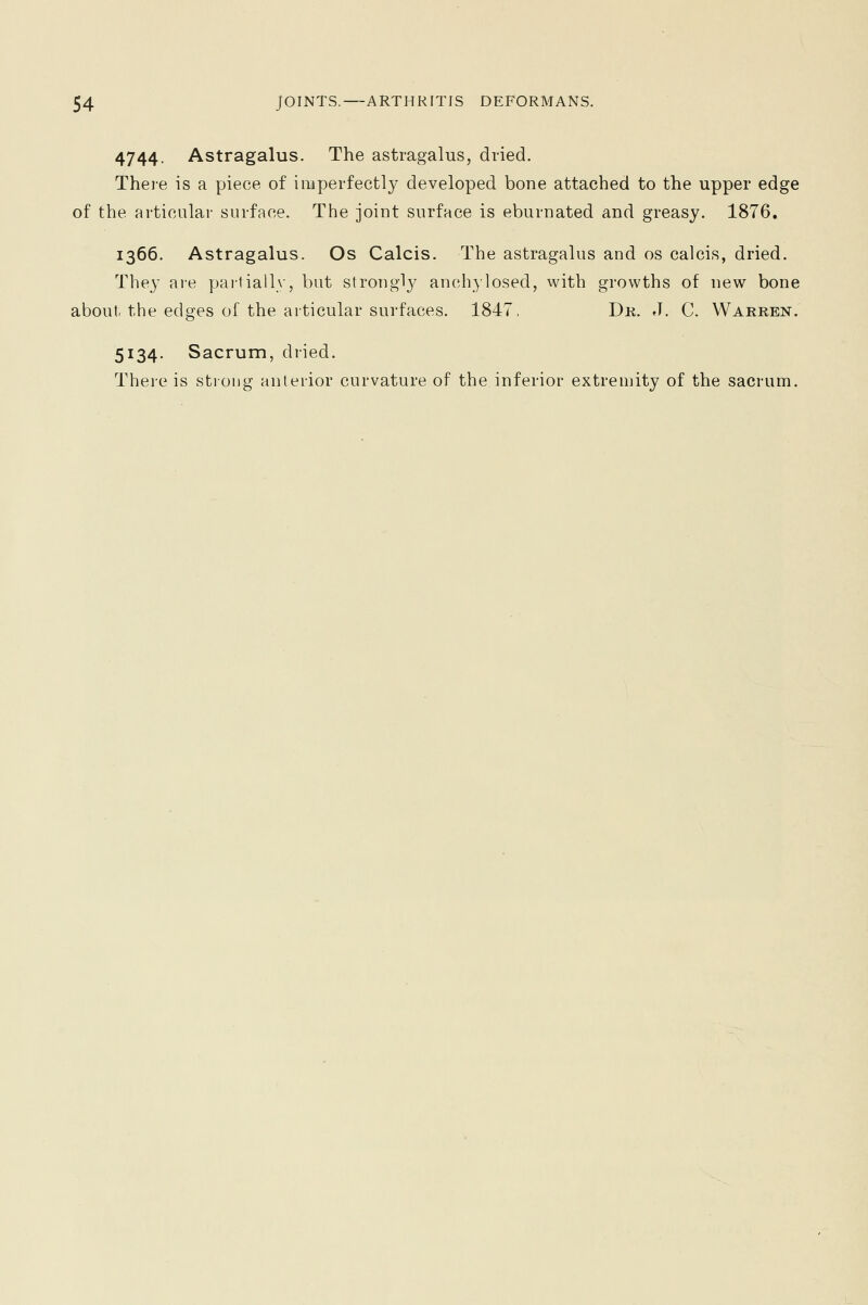 4744. Astragalus. The astragalus, dried. There is a piece of imperfectly developed bone attached to the upper edge of the articular surface. The joint surface is eburnated and greasy. 1876. 1366. Astragalus. Os Calcis. The astragalus and os calcis, dried. They are partially, but strongly anchylosed, with growths of new bone about, the edges of the articular surfaces. 1847, Dr. J. C. Warren. 5134. Sacrum, dried. There is strong anterior curvature of the inferior extremity of the sacrum.