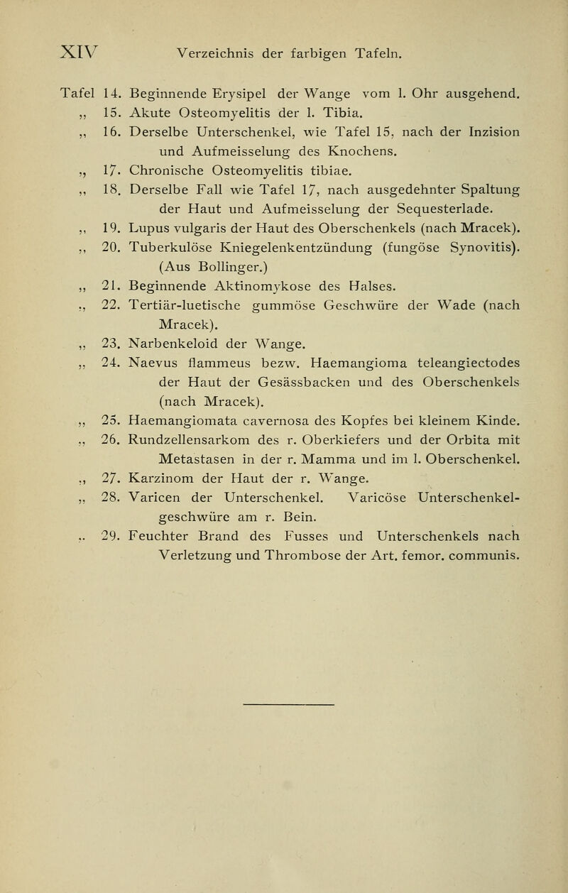 XIV7 Verzeichnis der farbigen Tafeln. Tafel 14. Beginnende Erysipel der Wange vom 1. Ohr ausgehend. 15. Akute Osteomyelitis der 1. Tibia. 16. Derselbe Unterschenkel, wie Tafel 15, nach der Inzision und Aufmeisselung des Knochens. 17. Chronische Osteomyelitis tibiae. 18. Derselbe Fall wie Tafel 17, nach ausgedehnter Spaltung der Haut und Aufmeisselung der Sequesterlade. 19. Lupus vulgaris der Haut des Oberschenkels (nach Mracek). 20. Tuberkulöse Kniegelenkentzündung (fungöse Synovitis). (Aus Bollinger.) 21. Beginnende Aktinomykose des Halses. 22. Tertiär-luetische gummöse Geschwüre der Wade (nach Mracek). 23. Narbenkeloid der Wange. 24. Naevus flammeus bezw. Haemangioma teleangiectodes der Haut der Gesässbacken und des Oberschenkels (nach Mracek). 25. Haemangiomata cavernosa des Kopfes bei kleinem Kinde. 26. Rundzellensarkom des r. Oberkiefers und der Orbita mit Metastasen in der r. Mamma und im 1. Oberschenkel. 27. Karzinom der Haut der r. Wränge. 28. Varicen der Unterschenkel. Varicöse Unterschenkel- geschwüre am r. Bein. 29. Feuchter Brand des Fusses und Unterschenkels nach Verletzung und Thrombose der Art. femor. communis.