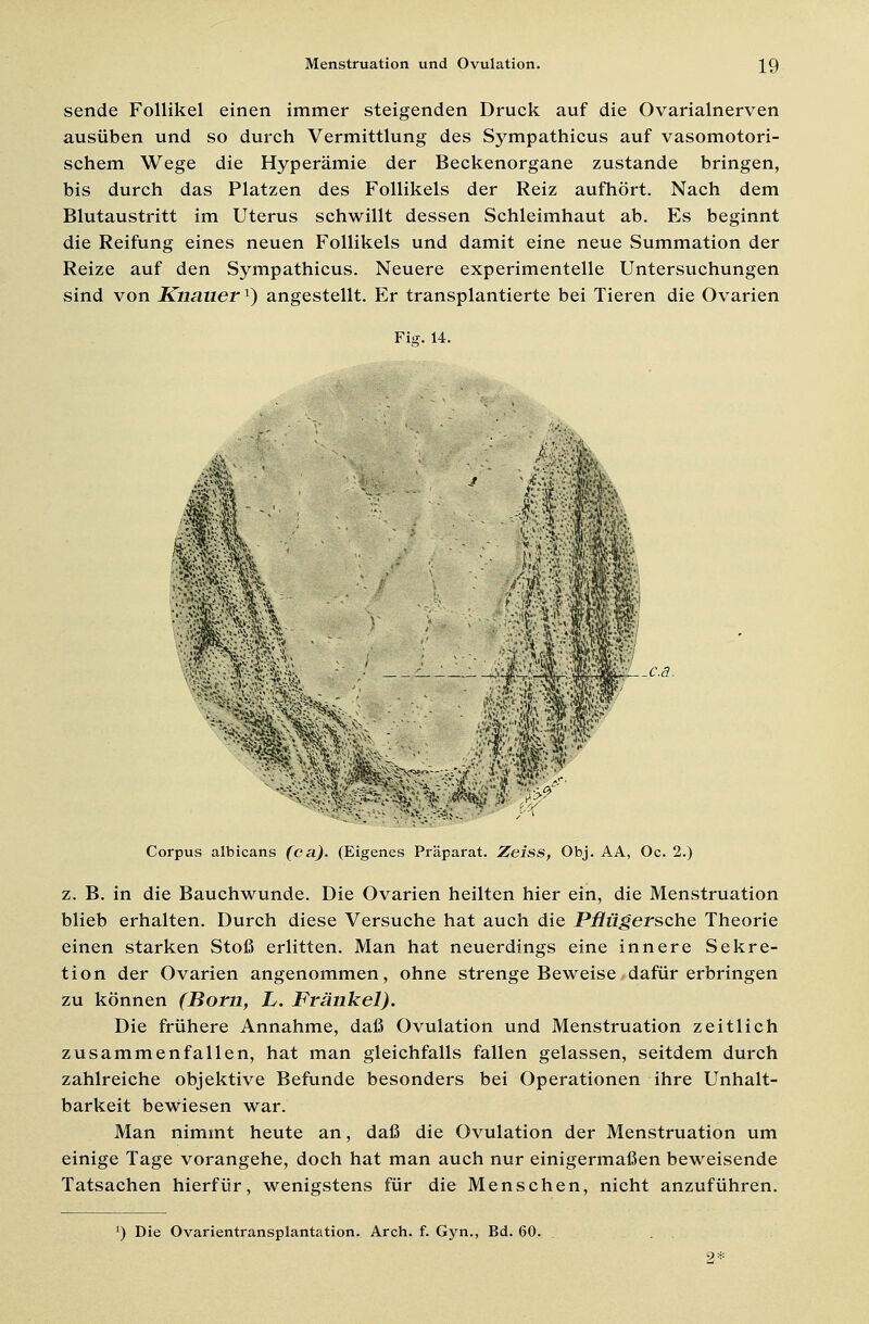 sende Follikel einen immer steigenden Druck auf die Ovarialnerven ausüben und so durch Vermittlung des Sympathicus auf vasomotori- schem Wege die Hyperämie der Beckenorgane zustande bringen, bis durch das Platzen des Follikels der Reiz aufhört. Nach dem Blutaustritt im Uterus schwillt dessen Schleimhaut ab. Es beginnt die Reifung eines neuen Follikels und damit eine neue Summation der Reize auf den Sympathicus. Neuere experimentelle Untersuchungen sind von Knauerl) angestellt. Er transplantierte bei Tieren die Ovarien Fig. 14. SP * 1 1S -. (■•*>'■ *>»•,M»r.■,»' ■•» • 11« ' ; '..Ja1 fv *f-. ^'Mfe': *\ Corpus albicans (ca.). (Eigenes Präparat. Zeiss, Obj. AA, Oc. 2.) z. B. in die Bauchwunde. Die Ovarien heilten hier ein, die Menstruation blieb erhalten. Durch diese Versuche hat auch die Pflügersche Theorie einen starken Stoß erlitten. Man hat neuerdings eine innere Sekre- tion der Ovarien angenommen, ohne strenge Beweise dafür erbringen zu können (Born, L. Fränkel). Die frühere Annahme, daß Ovulation und Menstruation zeitlich zusammenfallen, hat man gleichfalls fallen gelassen, seitdem durch zahlreiche objektive Befunde besonders bei Operationen ihre Unhalt- barkeit bewiesen war. Man nimmt heute an, daß die Ovulation der Menstruation um einige Tage vorangehe, doch hat man auch nur einigermaßen beweisende Tatsachen hierfür, wenigstens für die Menschen, nicht anzuführen. J) Die Ovarientransplantation. Arch. f. Gyn., Bd. 60.