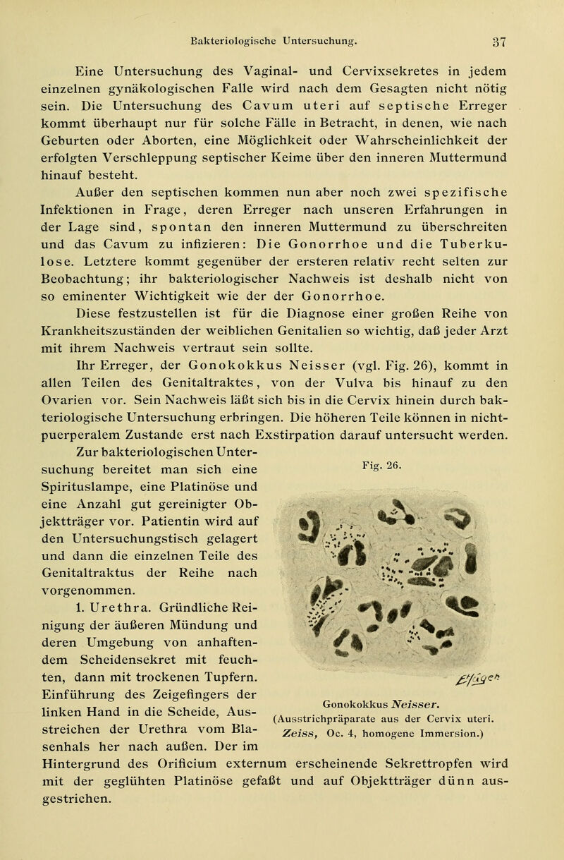 Eine Untersuchung des Vaginal- und Cervixsekretes in jedem einzelnen gynäkologischen Falle wird nach dem Gesagten nicht nötig sein. Die Untersuchung des Cavum uteri auf septische Erreger kommt überhaupt nur für solche Fälle in Betracht, in denen, wie nach Geburten oder Aborten, eine Möglichkeit oder Wahrscheinlichkeit der erfolgten Verschleppung septischer Keime über den inneren Muttermund hinauf besteht. Außer den septischen kommen nun aber noch zwei spezifische Infektionen in Frage, deren Erreger nach unseren Erfahrungen in der Lage sind, spontan den inneren Muttermund zu überschreiten und das Cavum zu infizieren: Die Gonorrhoe und die Tuberku- lose. Letztere kommt gegenüber der ersteren relativ recht selten zur Beobachtung; ihr bakteriologischer Nachweis ist deshalb nicht von so eminenter Wichtigkeit wie der der Gonorrhoe. Diese festzustellen ist für die Diagnose einer großen Reihe von Krankheitszuständen der weiblichen Genitalien so wichtig, daß jeder Arzt mit ihrem Nachweis vertraut sein sollte. Ihr Erreger, der Gonokokkus Neisser (vgl. Fig. 26), kommt in allen Teilen des Genitaltraktes, von der Vulva bis hinauf zu den Ovarien vor. Sein Nachweis läßt sich bis in die Cervix hinein durch bak- teriologische Untersuchung erbringen. Die höheren Teile können in nicht- puerperalem Zustande erst nach Exstirpation darauf untersucht werden. Zur bakteriologischen Unter- suchung bereitet man sich eine Fl£- 26, Spirituslampe, eine Platinöse und eine Anzahl gut gereinigter Ob- jektträger vor. Patientin wird auf den Untersuchungstisch gelagert und dann die einzelnen Teile des Genitaltraktus der Reihe nach vorgenommen. 1. Urethra. Gründliche Rei- nigung der äußeren Mündung und deren Umgebung von anhaften- dem Scheidensekret mit feuch- ten, dann mit trockenen Tupfern. Einführung des Zeigefingers der .. , _T ,. ,.<-,.-, » Gonokokkus Neisser. linken Hand in die Scheide, Aus- ,. , . . .. , _ 7 (Ausstrichpraparate aus der Cervix uteri. streichen der Urethra vom Bla- Zeiss> 0c 4 homogene immersion.) senhals her nach außen. Der im Hintergrund des Orificium externum erscheinende Sekrettropfen wird mit der geglühten Platinöse gefaßt und auf Objektträger dünn aus- gestrichen.