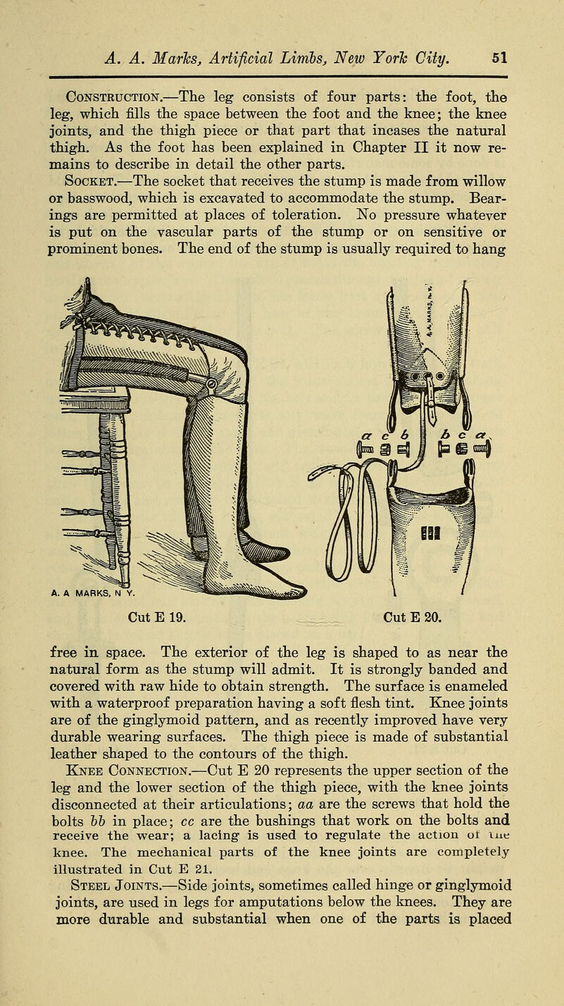 Construction.—The leg consists of four parts: the foot, the leg, which fills the space between the foot and the knee; the knee joints, and the thigh piece or that part that incases the natural thigh. As the foot has been explained in Chapter II it now re- mains to describe in detail the other parts. Socket.—The socket that receives the stump is made from willow or basswood, which is excavated to accommodate the stump. Bear- ings are permitted at places of toleration. No pressure whatever is put on the vascular parts of the stump or on sensitive or prominent bones. The end of the stump is usually required to hang A. A MARKS, N Y. Cut E 19 Cut E 20. free in space. The exterior of the leg is shaped to as near the natural form as the stump will admit. It is strongly banded and covered with raw hide to obtain strength. The surface is enameled with a waterproof preparation having a soft flesh tint. Knee joints are of the ginglymoid pattern, and as recently improved have very durable wearing surfaces. The thigh piece is made of substantial leather shaped to the contours of the thigh. Knee Connection.—Cut E 20 represents the upper section of the leg and the lower section of the thigh piece, with the knee joints disconnected at their articulations; aa are the screws that hold the bolts bb in place; cc are the bushings that work on the bolts and receive the wear; a lacing is used to regulate the action of iue knee. The mechanical parts of the knee joints are completely illustrated in Cut E 21. Steel Joints.—Side joints, sometimes called hinge or ginglymoid joints, are used in legs for amputations below the knees. They are more durable and substantial when one of the parts is placed