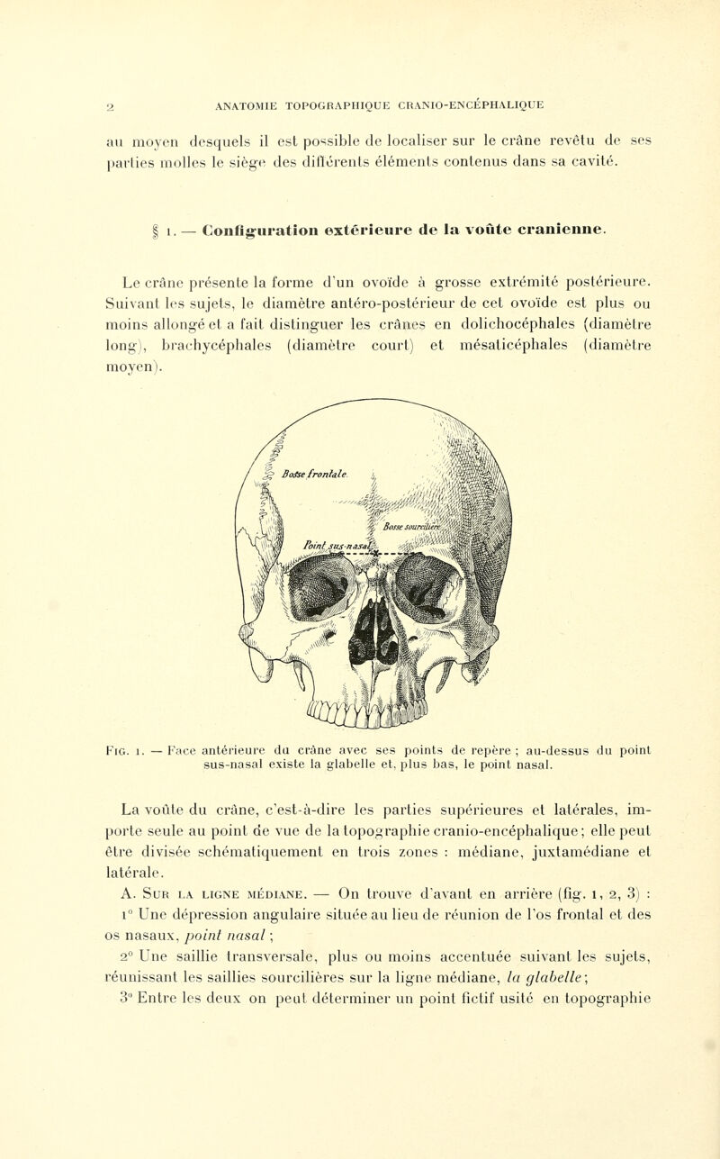 au moyen desquels il est possible de localiser sur le crâne revêtu de ses parties molles le siège des diflérents éléments contenus dans sa cavité. I 1. — Conflg-uratîon extérieure de la voûte crânienne. Le crâne présente la forme d'un ovoïde à grosse extrémité postérieure. Suivant les sujets, le diamètre antéro-postérieur de cet ovoïde est plus ou moins allongé et a fait distinguer les crânes en dolichocéphales (diamètre long), brachycéphales (diamètre court) et mésaticéphales (diamètre moyen). FiG. 1. — Face antérieure du crâne avec ses points de repère ; au-dessus du point sus-nasal existe la glabelle et, plus bas, le point nasal. La voûte du crâne, c'est-à-dire les parties supérieures et latérales, im- porte seule au point de vue de la topographie cranio-encéphalique; elle peut être divisée schématiquement en trois zones : médiane, juxtamédiane et latérale. A. Sur la ligne médl\.ne. — On trouve d'avant en arrière (fig. i, 2, 3) : 1° Une dépression angulaire située au lieu de réunion de l'os frontal et des os nasaux, point nasal ; 2° Une saillie transversale, plus ou moins accentuée suivant les sujets, réunissant les saillies sourcilières sur la ligne médiane, la glabelle; 3 Entre les deux on peut déterminer un point fictif usité en topographie