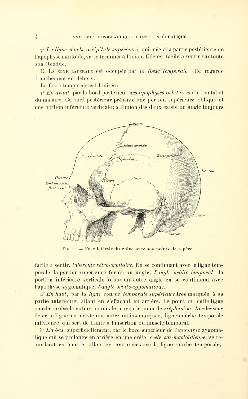 7° La ligne courbe occipitale supérieure, qui, née à la partie postérieure de l'apophyse mastoïde, va se terminera Tinion. Elle est facile à sentir sur toute son étendue. C. La zone latérale est occupée par la fosse temporale, elle regarde franchement en dehors. La fosse temporale est limitée : 1° En avant, par le hord postérieur des apophyses orbitaires du frontal et du malaire. Ce bord postérieur présente une portion supérieure oblique et une portion inférieure verticale; à l'union des deux existe un angle toujours Bre^ma. Lambda. Inion .{^Unon FiG. 2. — Face latérale du crâne avec ses points de repère. facile à sentir, tubercule rétro-orbitaire. En se continuant avec la ligne tem- porale, la portion supérieure forme un angle, l'angle orbito-temporal ; la portion inférieure verticale forme un autre angle en se continuant avec l'apophyse zygomatique, Vangle orbito-zygomalique. 2° En haut, par la ligne courbe temporale supérieure très marquée à sa partie antérieure, allant en s'efîaçant en arrière. Le point où cette ligne courbe croise la suture coronale a reçu le nom de stéphanion. Au-dessous de cette ligne en existe une autre moins marquée, ligne courbe temporale inférieure, qui sert de limite à l'insertion du muscle temporal. 3° En bas, superficiellement, par le bord supérieur de l'apophyse zygoma- tique qui se prolonge en arrière en une crête, crête sus-mastoïdienne, se re- ourbant en haut et allant se continuer avec la ligne courbe temporale;