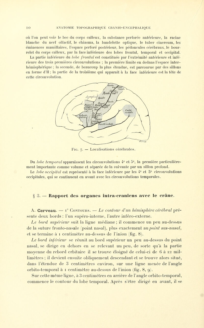 OÙ l'on peut voir le bec du corps calleux, la substance perforée antérieure, la racine blanche du nerf olfactif, le chiasma, la bandelette optique, le tuber cinereum, les éminences mamillaires, l'espace perforé postérieur, les pédoncules cérébraux, le bour- relet du corps calleux, par la face inférieure des lobes frontal, temporal et occipital. La partie inférieure du lobe frontal est constituée par l'extrémité antérieure et infé- rieure des trois premières circonvolutions ; la première limite en dedans l'espace inter- hémisphérique ; la seconde, de beaucoup la plus étendue, est parcourue par des sillons en forme d'H ; la partie de la troisième qui apparaît à la face inférieure est la tête de cette circonvolution. FiG. 7. — Localisations cérébrales. Du lobe temporal apparaissent les circonvolutions 4^ et 5, la première particulière- ment importante comme volume et séparée de la suivante par un sillon profond. Le lobe occipital est représenté à la face inférieure par les 4^ et 5® circonvolutions occipitales, qui se continuent en avant avec les circonvolutions temporales. 3. — Rapport des organes îiitra-craniens avec le crâne. A. Cerveau. — 1° Contours. — Le contour cViin hémisphère cérébral pré- sente deux bords : l'un supéro-interne, l'autre inféro-externe. Le bord supérieur suit la ligne médiane ; il commence un peu au-dessus de la suture fronto-nasale (point nasal), plus exactement aupoint sus-nasal, et se termine à 1 centimètre au-dessus de Tinion (fig. 8). Le bord inférieur se réunit au bord supérieur un peu au-dessus du point nasal, se dirige en dehors en se relevant un peu, de sorte qu'à la partie moyenne du rebord orbitaire il se trouve éloigné de celui-ci de 6 à 12 mil- limètres ; il devient ensuite obliquement descendant et se trouve alors situé, dans rétendue de 3 centimètres environ, sur une ligne menée de l'angle orbito-temporal à 1 centimètre au-dessus de Tinion (fig. 8, 9). Sur cette même ligne, à 3 centimètres en arrière de l'angle orbito-temporal, commence le contour du lobe temporal. Après s'être dirigé en avant, il se