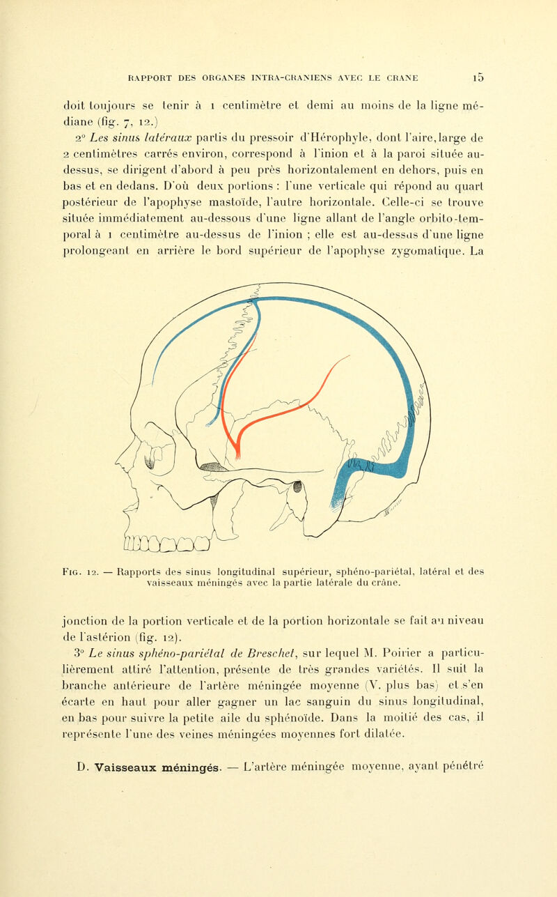 doit toujours se tenir à i centimètre et demi au moins de la ligne mé- diane (fig-. 7, 12.) 2° Les sinus latéraux partis du pressoir d'Hérophyle, dont l'aire,large de 2 centimètres carrés environ, correspond à l'inion et à la paroi située au- dessus, se dirigent d'abord à peu près horizontalement en dehors, puis en bas et en dedans. D'où deux portions : lune verticale qui répond au quart postérieur de l'apophyse mastoïde, l'autre horizontale. Celle-ci se trouve située immédiatement au-dessous d'une ligne allant de l'angle orbito-tem- poral à 1 centimètre au-dessus de l'inion ; elle est au-dessus d'une ligne prolongeant en arrière le bord supérieur de l'apophyse zygomatique. La Fig. 12. — Rapports des sinus longitudinal supérieur, sphéno-pariétal, latéral et des vaisseaux méningés avec la partie latérale du crâne. jonction de la portion verticale et de la portion horizontale se fait au niveau de l'astérion [Cig. 12). 3 Le sinus sphéno-pariétal de Breschet, sur lequel M. Poirier a particu- lièrement attiré l'attention, présente de très grandes variétés. Il suit la branche antérieure de l'artère méningée moyenne (V. plus bas) et.s'en écarte en haut pour aller gagner un lac sanguin du sinus longitudinal, en bas pour suivre la petite aile du sphénoïde. Dans la moitié des cas, il représente l'une des veines méningées moyennes fort dilatée. D. Vaisseaux méningés. — L'artère méningée moyenne, ayant pénétré