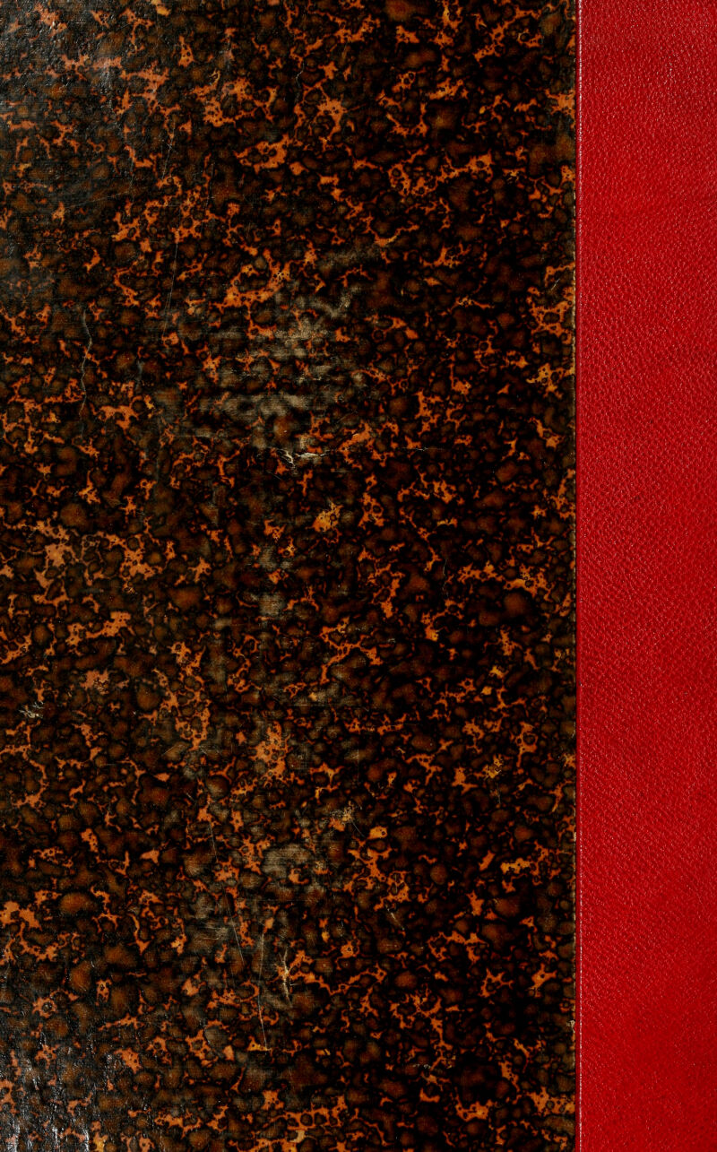 'ft^p^. >^ ^.•dv^w^-^ .>*^.-. -:^:^.^ ;^»^^:,.( ., -^i^'; -<-<«-Ji^- '-**.- '^■'