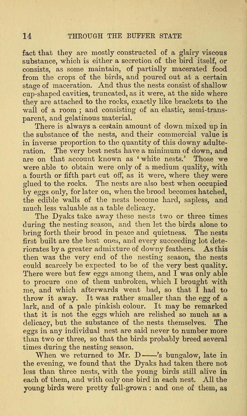 fact that they are mostly constructed of a glairy viscous substance, which is either a secretion of the bird itself, or consists, as some maintain, of partially macerated food from the crops of the birds, and poured out at a certain stage of maceration. And thus the nests consist of shallow cup-shaped cavities, truncated, as it were, at the side where they are attached to the rocks, exactly like brackets to the wall of a room ; and consisting of an elastic, semi-trans- parent, and gelatinous material. There is always a certain amount of down mixed up in the substance of the nests, and their commercial value is in inverse proportion to the quantity of this downy adulte- ration. The very best nests have a minimum of down, and are on that account known as 'white nests.' Those we were able to obtain were only of a medium quality, with a fourth or fifth part cut off, as it were, where they were glued to the rocks. The nests are also best when occupied by eggs only, for later on, when the brood becomes hatched, the edible walls of the nests become hard, sapless, and much less valuable as a table delicacy. The Dyaks take away these nests two or three times during the nesting season, and then let the birds alone to bring forth their brood in peace and quietness. The nests first built are the best ones, and every succeeding lot dete- riorates by a greater admixture of downy feathers. As this then was the very end of the nesting season, the nests could scarcely be expected to be of the very best quality. There were but few eggs among them, and I was only able to procure one of them unbroken, which I brought with me, and which afterwards went bad, so that I had to throw it away. It was rather smaller than the egg of a lark, and of a pale pinkish colour. It may be remarked that it is not the eggs which are relished so much as a delicacy, but the substance of the nests themselves. The eggs in any individual nest are said never to number more than two or three, so that the birds probably breed several times during the nesting season. When we returned to Mr. D 's bungalow, late in the evening, we found that the Dyaks had taken there not less than three nests, with the young birds still alive in each of them, and with only one bird in each nest. All the young birds were pretty full-grown : and one of them, as