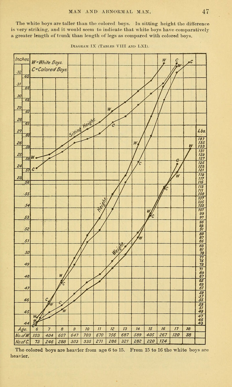 The white hoys are taller than the colored hoys. In sitting height the diiference is very striking, and it would seem to indicate that white hoys have comparatively a greater length of trunk than length of legs as compared with colored hoys. Diagram IX (Tables VIII and LXI). Inches. W=White Boys. W 9 C ^C 3Z C=Coloreol Boys. / / f ^ 31 es / / // / 30 M / / / // 29 <*^ W/ / 1 / 27 62 ^f M'^^. ■y ^ 1 1 S w^ /c 1 ' Us. 26 t^O y. y ^ J / w 137 135 133 25 m W*^ ^ >- 1/ / 131 129 127 24 Sa c^ y^ 1 / // 125 123 121 23 Si J f/w 119 in lis S6 SS / / r 113 111 109 S4 i // // 7 107 105 103 S3 ^y / i 101 99 97 52 '~ A r 95 SI .11 / //. 69 87 85 SO /, ¥, V/ 63 81 79 49 /y / 77 75 73 46 */ V ^ / 71 69 67 47 / /■ V y 65 63 61 46 cj // / 59 S7 55 45 / iU /^ S3 51 49 44 It 47 45 43 A^e. 6 7 8 9 10 11 12 13 14 IS 16 17 te No.om 103 404 607 647 703 670 756 687 589 405 267 J20 38 No.ofC. 73 246 288 303 335 271 286 321 282 220 124 The colored boys are heavier from age 6 to 15. From 15 to 16 the white hoys heavier.