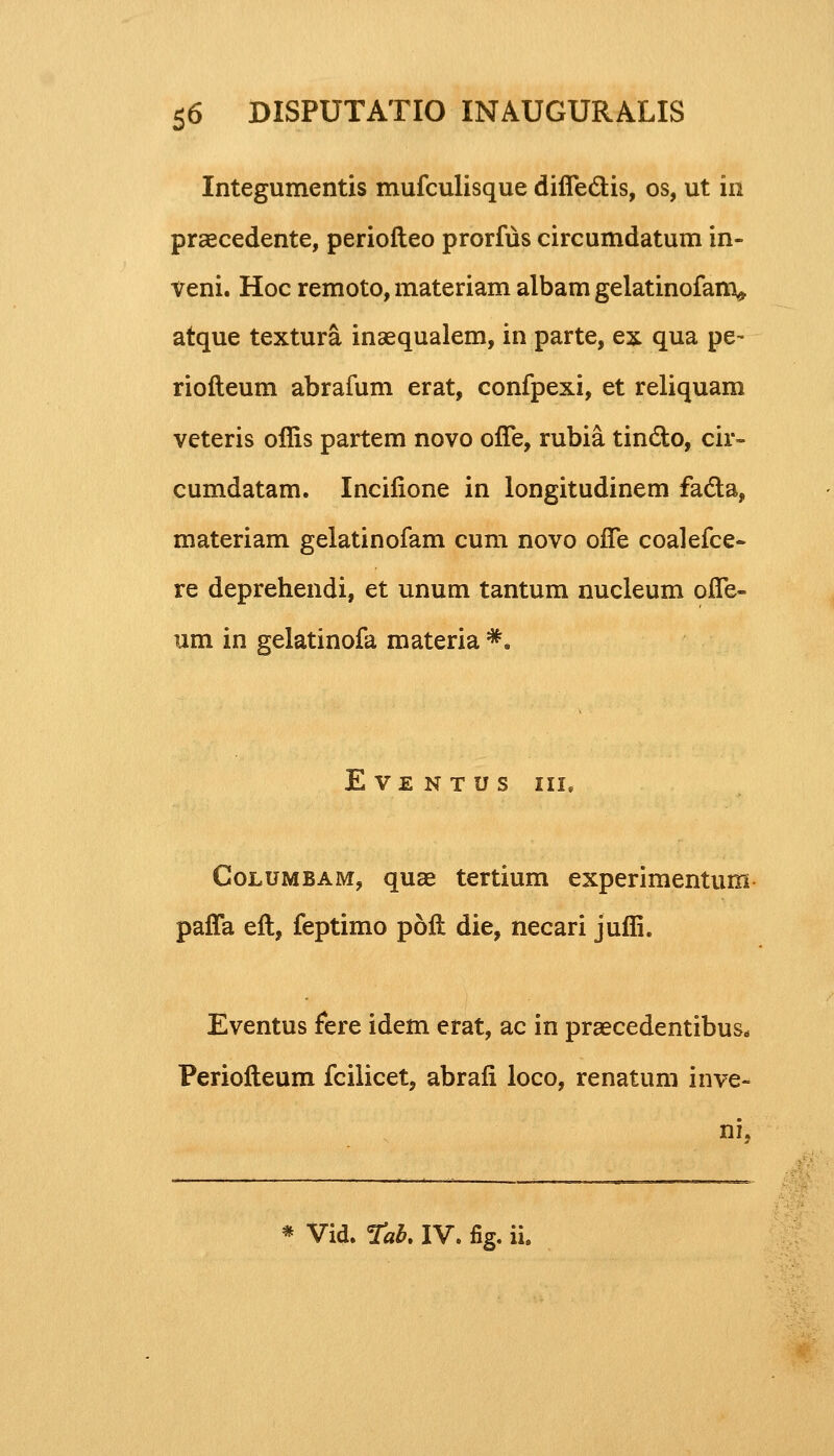 Integumentis mufculisque diffe&is, os, ut in praecedente, periofteo prorfus circumdatum in- veni. Hoc remoto, materiam albam gelatinofanx, atque textura inaequalem, in parte, ex qua pe~ riofteum abrafum erat, confpexi, et reliquam veteris offis partem novo ofTe, rubia tin&o, cir- cumdatam. Incilione in longitudinem fadta, materiam gelatinofam cum novo ofTe coalefce- re deprehendi, et unum tantum nucleum offe- um in gelatinofa materia #* E VE N T U S III, Columbam, quae tertium experimentum paffa eft, feptimo poft die, necari juffi. Eventus fere idem erat, ac in praecedentibus* Periofteum fcilicet, abraii loco, renatum inve- ni,