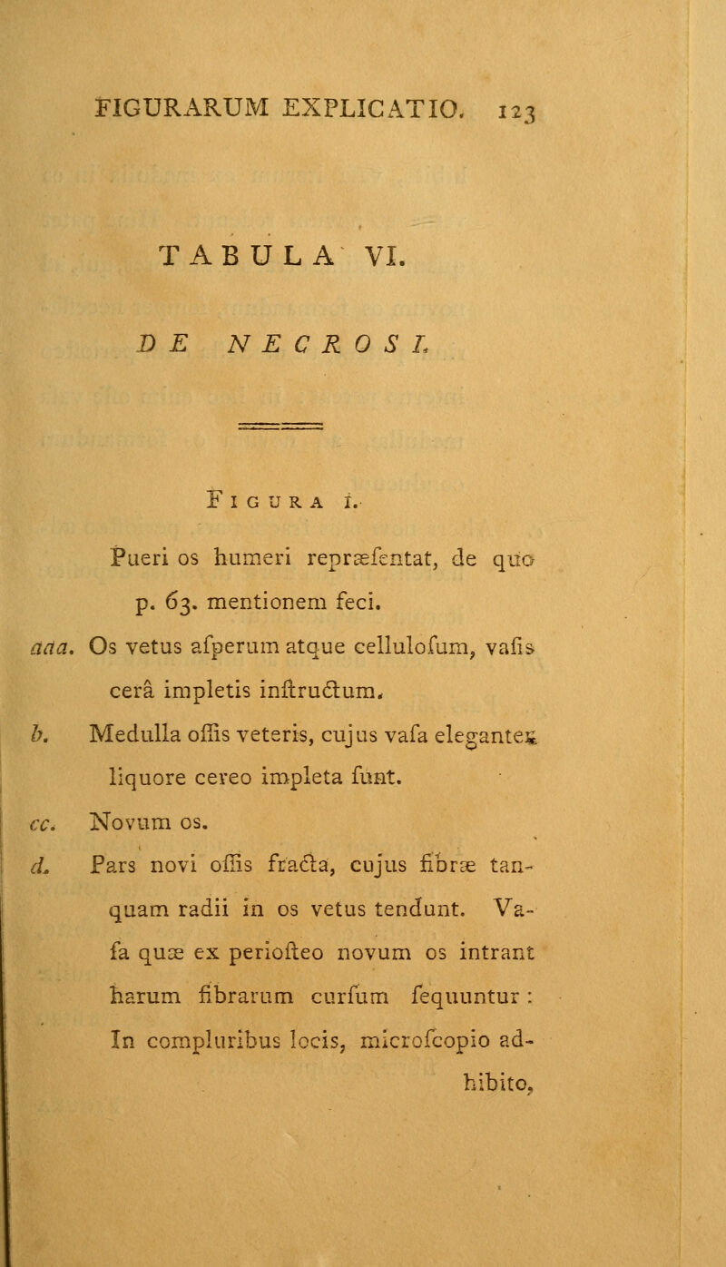 TABULA VI. B E N E C R 0 S L FlGURA I. Pueri os humeri repraefentat, de quo p. 63. mentionem feci. aaa. Os vetus afperum atque cellulofum, vafis cera impletis initrudtum, b. Medulla oilis veteris, cujus vafa elegantes liquore cereo impleta funt. €C* Novum os. d, Pars novi oflis fracla, cujus fibrae tan- quam radii in os vetus tendunt. Va- fa quse ex perioileo novum os intrant harum fibrarum curfum fequuntur: In compluribus locis, microfcopio ad- hibito,