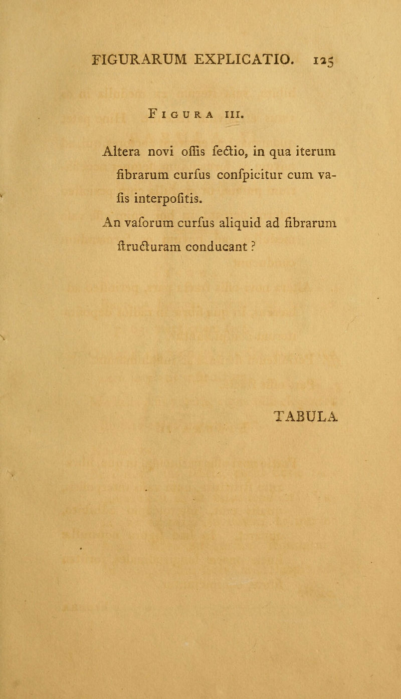 F I G U R A III. Altera novi offis fe&io, in qua iterum fibrarum curfus confpicitur cum va- lis interpofitis. An vaforum curfus aliquid ad fibrarum ftrucluram conducant ?