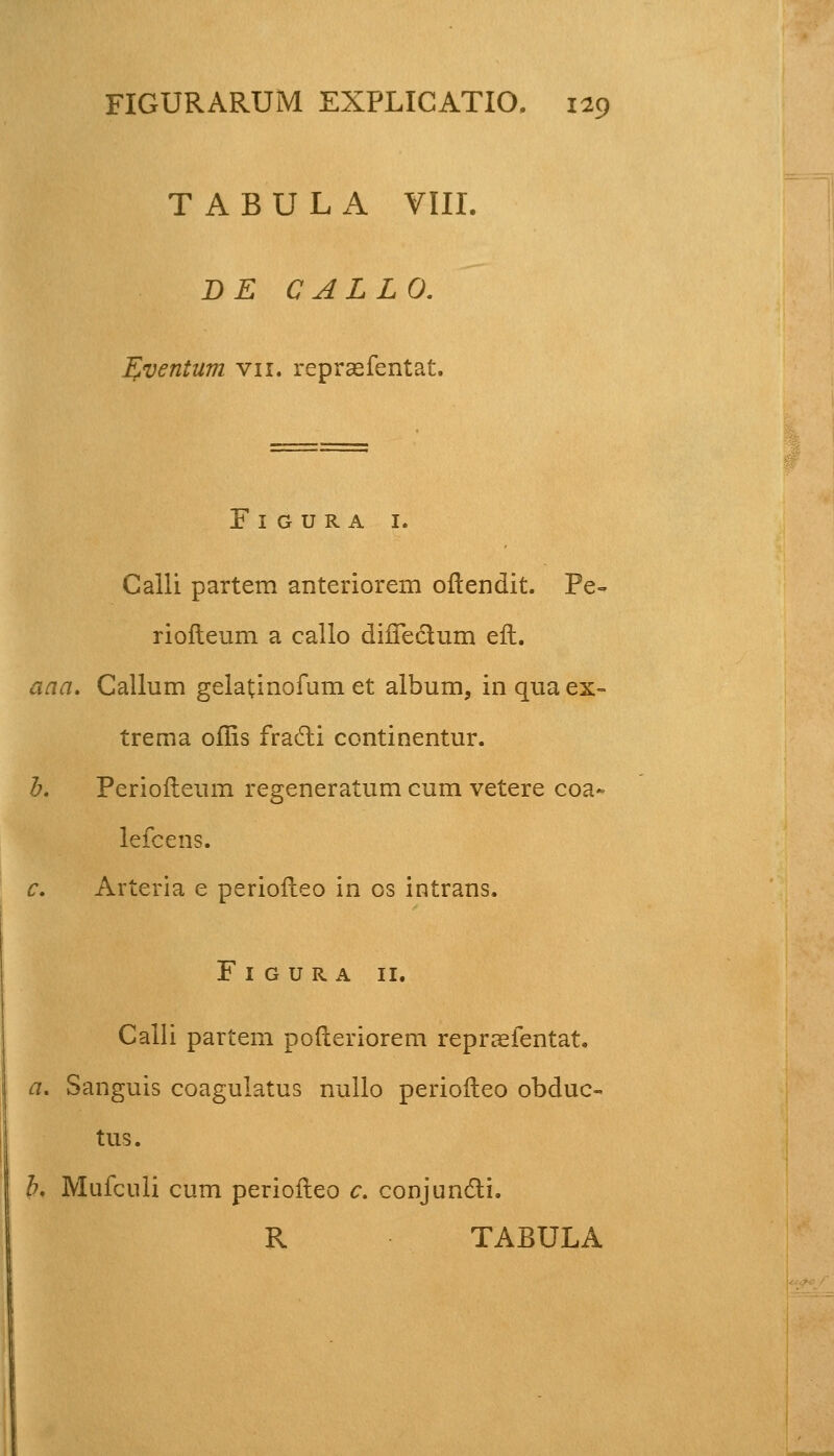 T A B U L A VIII. D E C ALLO. fiventum vn. repraefentat. F I G U R A I. Calli partem anteriorem oftendit. Pe- riolteum a callo difleclum eft. aaa. Callum gelatinofum et album, inquaex- trema oflis fracli continentur. b. Perioileum regeneratum cum vetere coa~ lefcens. c. Arteria e perioileo in os intrans. F 1 g u R A 11. Calli partem pofteriorem repraefentat. a. Sanguis coagulatus nullo periofteo obduc- tus. b. Mufculi cum periofteo c. conjuncti. R TABULA