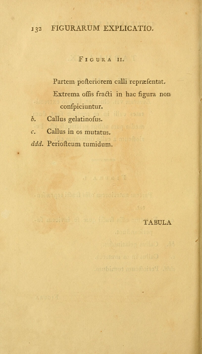 FlGURA II. Partem poiteriorem calli reprsefentat, Extrema oflis fracti in hac figura non confpiciuntur. h. Callus gelatinofus. c. Callus in os mutatus. ddd. Perioileum tumidum.