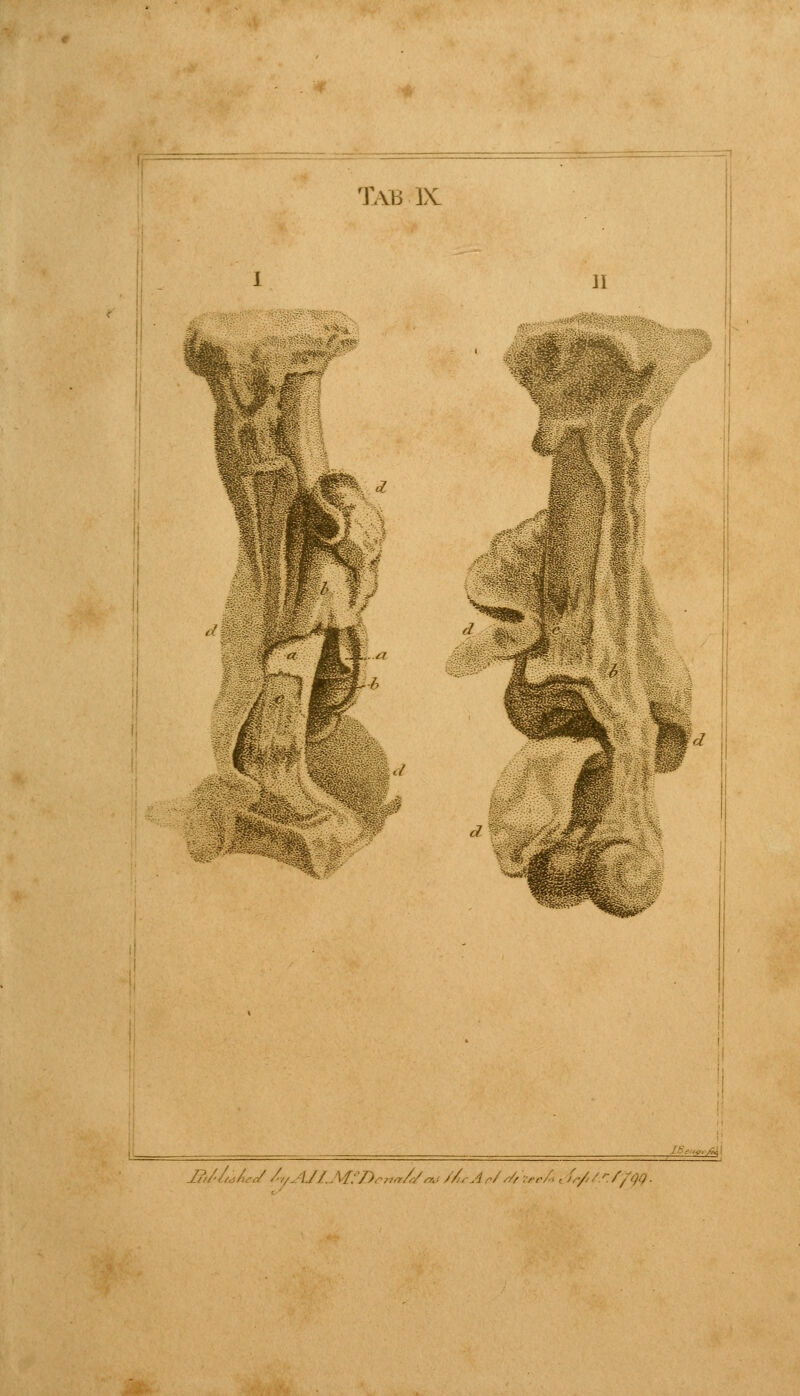 I 11 ^'■•■ - g £tl/uAe</ /:/,.U/.M:7~).-n,rA/^ //LrAc/s/jtecA , /,///'//y.y.