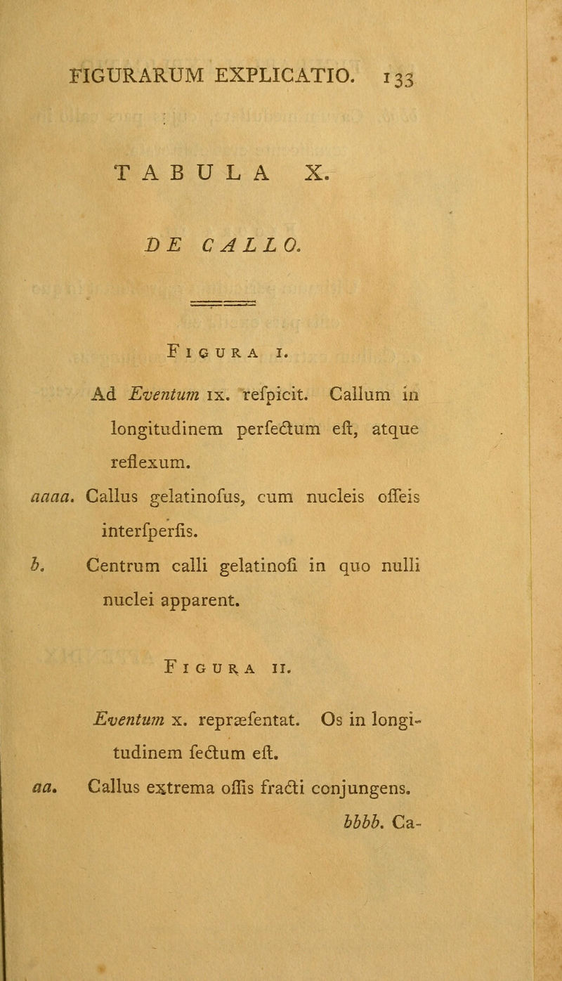 T A B U L A X, DE CALLO. F I G U R A I. Ad Eventum ix. refoicit. Callum in longitudinem perfectum eft, atque reflexum. aaaa. Callus gelatinofus, cum nucleis olTeis interfperlis. b. Centrum calli gelatinofl in quo nulli nuclei apparent. F I G U R, A 11. Eventum x. repraefentat. Os in longi- tudinem fedtum eft. aa» Callus extrema offis fra&i conjungens. hbbb. Ca-