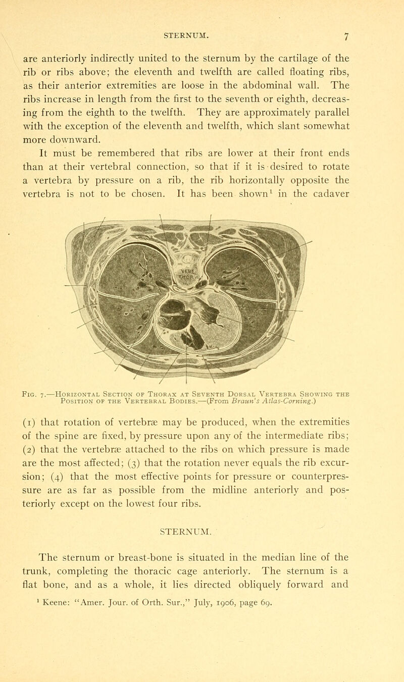 are anteriorly indirectly united to the sternum by the cartilage of the rib or ribs above; the eleventh and twelfth are called floating ribs, as their anterior extremities are loose in the abdominal wall. The ribs increase in length from the first to the seventh or eighth, decreas- ing from the eighth to the twelfth. They are approximately parallel with the exception of the eleventh and twelfth, which slant somewhat more downward. It must be remembered that ribs are lower at their front ends than at their vertebral connection, so that if it is desired to rotate a vertebra by pressure on a rib, the rib horizontally opposite the vertebra is not to be chosen. It has been shown1 in the cadaver Fig. 7.—Horizontal Section of Thorax at Seventh Dorsal Vertebra Showing the Position of the Vertebral Bodies.—(From Braun's Atlas-Corning.) (1) that rotation of vertebrae may be produced, when the extremities of the spine are fixed, by pressure upon any of the intermediate ribs; (2) that the vertebrae attached to the ribs on which pressure is made are the most affected; (3) that the rotation never equals the rib excur- sion; (4) that the most effective points for pressure or counterpres- sure are as far as possible from the midline anteriorly and pos- teriorly except on the lowest four ribs. STERNUM. The sternum or breast-bone is situated in the median line of the trunk, completing the thoracic cage anteriorly. The sternum is a flat bone, and as a whole, it lies directed obliquely forward and 1 Keene: Amer. Jour, of Orth. Sur., July, 1906, page 69.