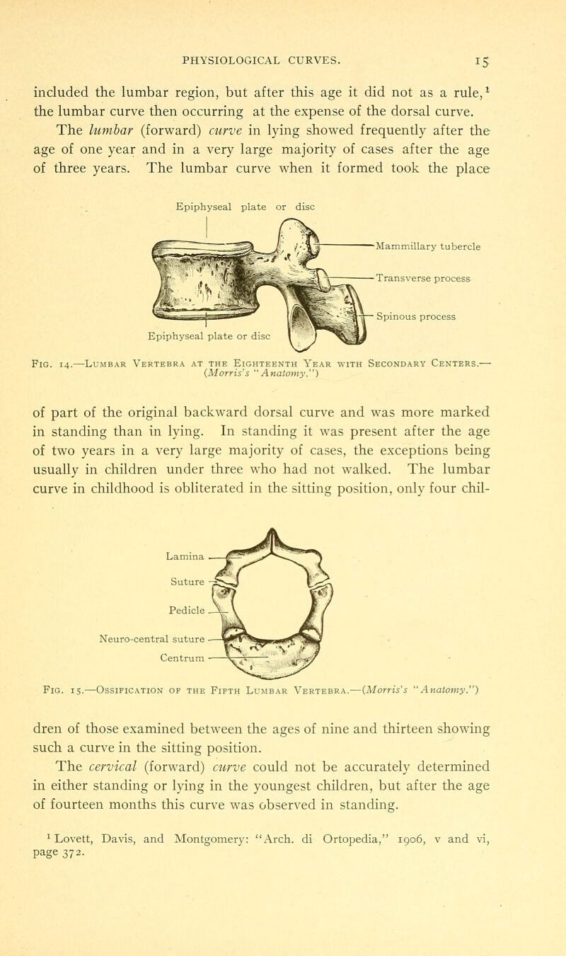 included the lumbar region, but after this age it did not as a rule,1 the lumbar curve then occurring at the expense of the dorsal curve. The lumbar (forward) curve in lying showed frequently after the age of one year and in a very large majority of cases after the age of three years. The lumbar curve when it formed took the place Epiphyseal plate or disc Mammillary tubercle Transverse process ■ Spinous process Epiphyseal plate or disc Fig. 14.—Lumbar Vertebra at the Eighteenth Year with Secondary Centers.— (Morris's Anatomy.) of part of the original backward dorsal curve and was more marked in standing than in lying. In standing it was present after the age of two years in a very large majority of cases, the exceptions being usually in children under three who had not walked. The lumbar curve in childhood is obliterated in the sitting position, only four chil- Neuro-central suture Centrum Fig. is.—Ossification of the Fifth Lumbar Vertebra.—(Morris's Anatomy.) dren of those examined between the ages of nine and thirteen showing such a curve in the sitting position. The cervical (forward) curve could not be accurately determined in either standing or lying in the youngest children, but after the age of fourteen months this curve was observed in standing. 1 Lovett, Davis, and Montgomery: Arch, di Ortopedia, 1906, v and vi, page 372.