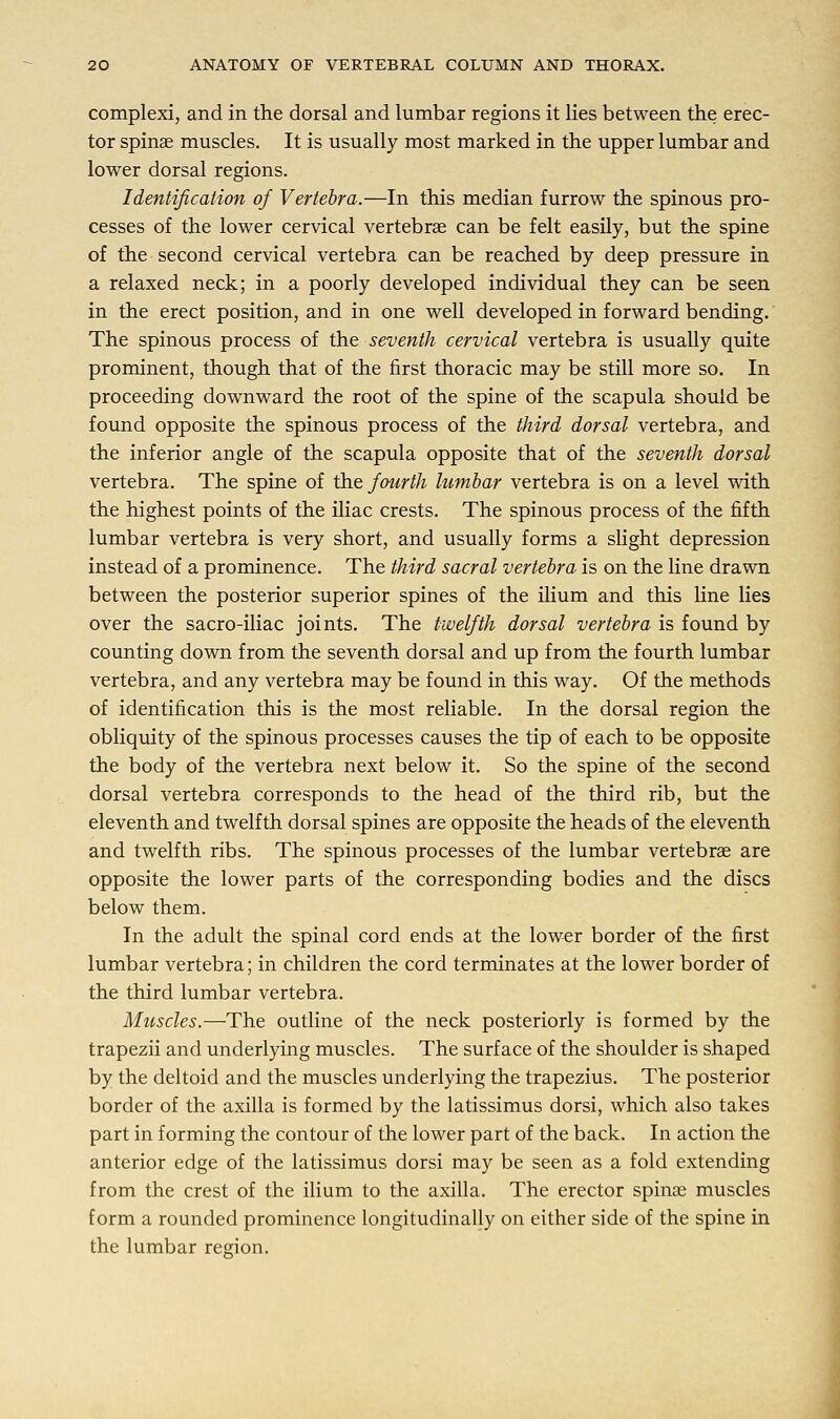 complexi, and in the dorsal and lumbar regions it lies between the erec- tor spinae muscles. It is usually most marked in the upper lumbar and lower dorsal regions. Identification of Vertebra.—In this median furrow the spinous pro- cesses of the lower cervical vertebrae can be felt easily, but the spine of the second cervical vertebra can be reached by deep pressure in a relaxed neck; in a poorly developed individual they can be seen in the erect position, and in one well developed in forward bending. The spinous process of the seventh cervical vertebra is usually quite prominent, though that of the first thoracic may be still more so. In proceeding downward the root of the spine of the scapula should be found opposite the spinous process of the third dorsal vertebra, and the inferior angle of the scapula opposite that of the seventh dorsal vertebra. The spine of the fourth lumbar vertebra is on a level with the highest points of the iliac crests. The spinous process of the fifth lumbar vertebra is very short, and usually forms a slight depression instead of a prominence. The third sacral vertebra is on the line drawn between the posterior superior spines of the ilium and this line lies over the sacro-iliac joints. The twelfth dorsal vertebra is found by counting down from the seventh dorsal and up from the fourth lumbar vertebra, and any vertebra may be found in this way. Of the methods of identification this is the most reliable. In the dorsal region the obliquity of the spinous processes causes the tip of each to be opposite the body of the vertebra next below it. So the spine of the second dorsal vertebra corresponds to the head of the third rib, but the eleventh and twelfth dorsal spines are opposite the heads of the eleventh and twelfth ribs. The spinous processes of the lumbar vertebras are opposite the lower parts of the corresponding bodies and the discs below them. In the adult the spinal cord ends at the lower border of the first lumbar vertebra; in children the cord terminates at the lower border of the third lumbar vertebra. Muscles.—The outline of the neck posteriorly is formed by the trapezii and underlying muscles. The surface of the shoulder is shaped by the deltoid and the muscles underlying the trapezius. The posterior border of the axilla is formed by the latissimus dorsi, which also takes part in forming the contour of the lower part of the back. In action the anterior edge of the latissimus dorsi may be seen as a fold extending from the crest of the ilium to the axilla. The erector spinas muscles form a rounded prominence longitudinally on either side of the spine in the lumbar region.