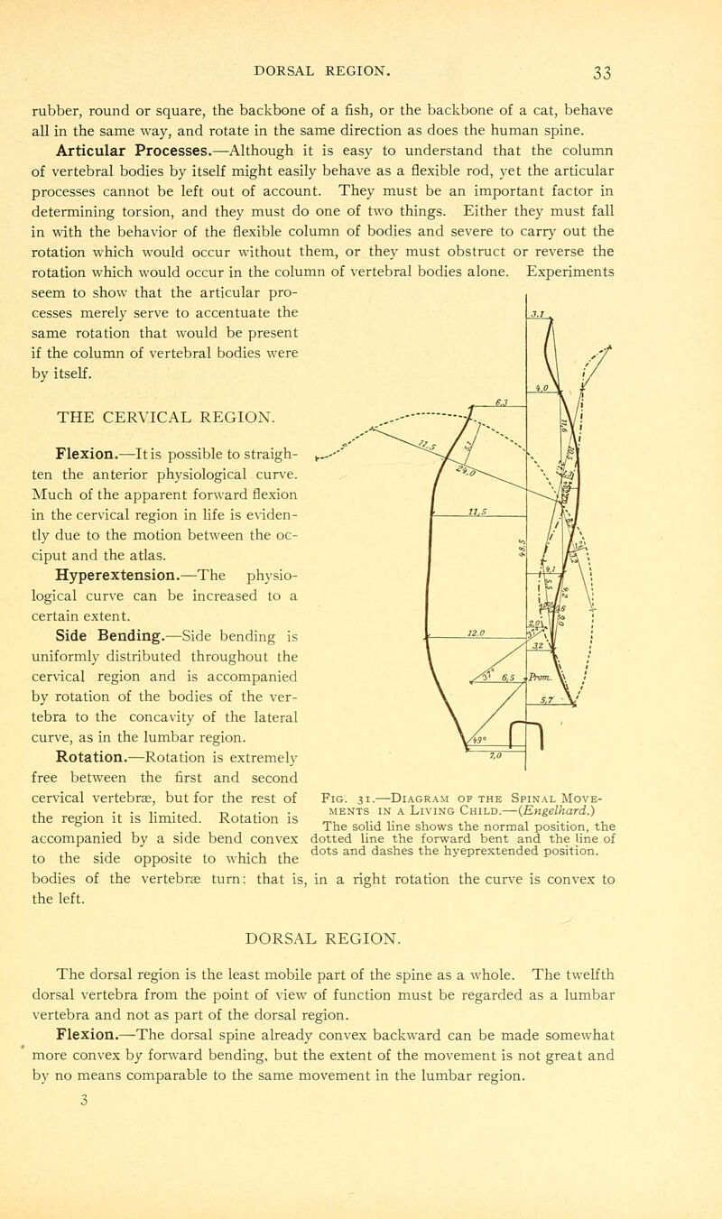 rubber, round or square, the backbone of a fish, or the backbone of a cat, behave all in the same way, and rotate in the same direction as does the human spine. Articular Processes.—Although it is easy to understand that the column of vertebral bodies by itself might easily behave as a flexible rod, yet the articular processes cannot be left out of account. They must be an important factor in determining torsion, and they must do one of two things. Either they must fall in with the behavior of the flexible column of bodies and severe to carry out the rotation which would occur without them, or they must obstruct or reverse the rotation which would occur in the column of vertebral bodies alone. Experiments seem to show that the articular pro- cesses merely serve to accentuate the same rotation that would be present if the column of vertebral bodies were by itself. THE CERVICAL REGION. Flexion.—It is possible to straigh- ten the anterior physiological curve. Much of the apparent forward flexion in the cervical region in life is eviden- tly due to the motion between the oc- ciput and the atlas. Hyperextension.—The physio- logical curve can be increased to a certain extent. Side Bending.—Side bending is uniformly distributed throughout the cervical region and is accompanied by rotation of the bodies of the ver- tebra to the concavity of the lateral curve, as in the lumbar region. Rotation.—Rotation is extremely free between the first and second cervical vertebras, but for the rest of the region it is limited. Rotation is accompanied by a side bend convex to the side opposite to which the bodies of the vertebrae turn; that is, the left. Fig. 3i.—Diagram of the Spinal Move- ments in a Living Child.—{Engelhard.) The solid line shows the normal position, the dotted line the forward bent and the line of dots and dashes the hyeprextended position. in a right rotation the curve is convex to DORSAL REGION. The dorsal region is the least mobile part of the spine as a whole. The twelfth dorsal vertebra from the point of view of function must be regarded as a lumbar vertebra and not as part of the dorsal region. Flexion.—The dorsal spine already convex backward can be made somewhat more convex by forward bending, but the extent of the movement is not great and by no means comparable to the same movement in the lumbar region. 3
