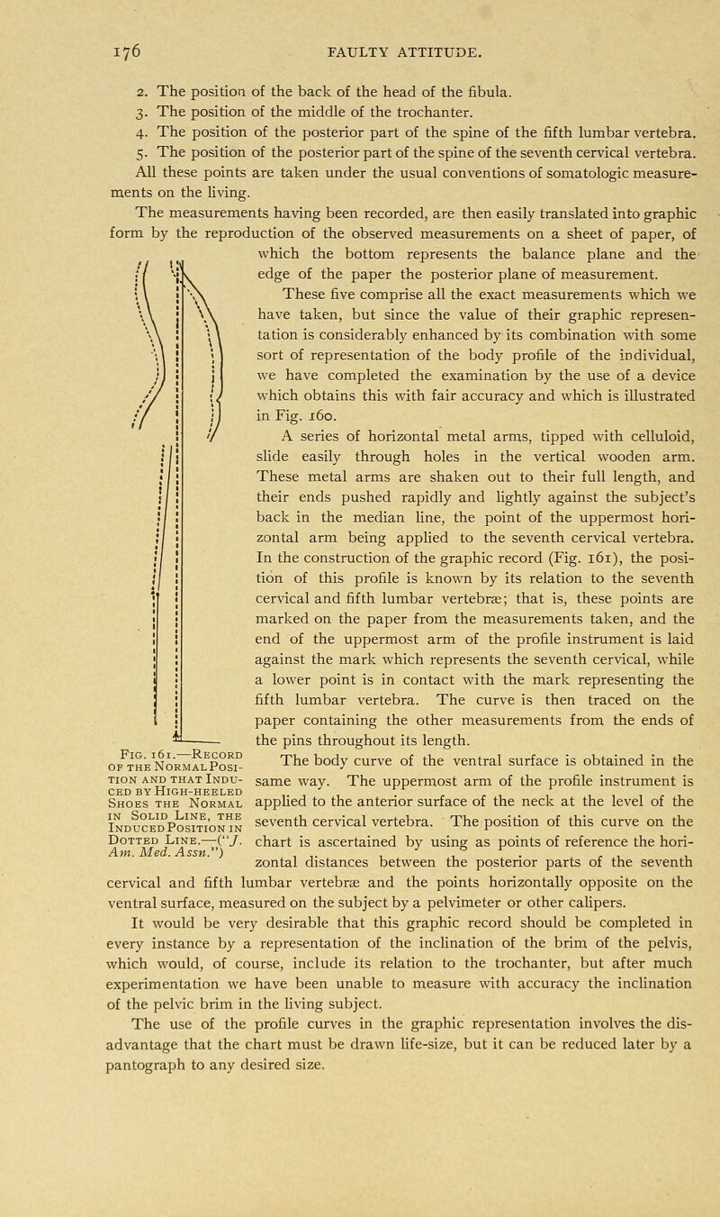 2. The position of the back of the head of the fibula. 3. The position of the middle of the trochanter. 4. The position of the posterior part of the spine of the fifth lumbar vertebra. 5. The position of the posterior part of the spine of the seventh cervical vertebra. All these points are taken under the usual conventions of somatologic measure- ments on the living. The measurements having been recorded, are then easily translated into graphic form by the reproduction of the observed measurements on a sheet of paper, of which the bottom represents the balance plane and the edge of the paper the posterior plane of measurement. These five comprise all the exact measurements which we have taken, but since the value of their graphic represen- tation is considerably enhanced by its combination with some sort of representation of the body profile of the individual, we have completed the examination by the use of a device which obtains this with fair accuracy and which is illustrated in Fig. 160. A series of horizontal metal arms, tipped with celluloid, slide easily through holes in the vertical wooden arm. These metal arms are shaken out to their full length, and their ends pushed rapidly and lightly against the subject's back in the median line, the point of the uppermost hori- zontal arm being applied to the seventh cervical vertebra. In the construction of the graphic record (Fig. 161), the posi- tion of this profile is known by its relation to the seventh cervical and fifth lumbar vertebrae; that is, these points are marked on the paper from the measurements taken, and the end of the uppermost arm of the profile instrument is laid against the mark which represents the seventh cervical, while a lower point is in contact with the mark representing the fifth lumbar vertebra. The curve is then traced on the paper containing the other measurements from the ends of the pins throughout its length. of TH^NoRMAifposi0 ^e body curve of the ventral surface is obtained in the tion and that Indu- same way. The uppermost arm of the profile instrument is ced by High-heeled ,. , , . , ,. , , , , , ,. , Shoes the Normal applied to the antenor surface of the neck at the level of the iNDu^DPosmbNiN sevent]l cervical vertebra. The position of this curve on the Dotted Line.—(/. chart is ascertained by using as points of reference the hori- Am. Med. Assn. ) , ,. . , . . . zontal distances between the posterior parts of the seventh cervical and fifth lumbar vertebras and the points horizontally opposite on the ventral surface, measured on the subject by a pelvimeter or other calipers. It would be very desirable that this graphic record should be completed in every instance by a representation of the inclination of the brim of the pelvis, which would, of course, include its relation to the trochanter, but after much experimentation we have been unable to measure with accuracy the inclination of the pelvic brim in the living subject. The use of the profile curves in the graphic representation involves the dis- advantage that the chart must be drawn life-size, but it can be reduced later by a pantograph to any desired size.