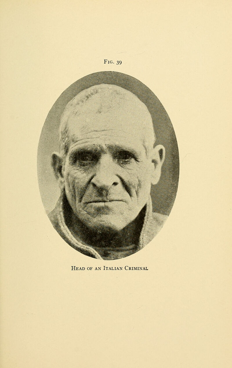 Fig. 39 Head of an Italian Criminal