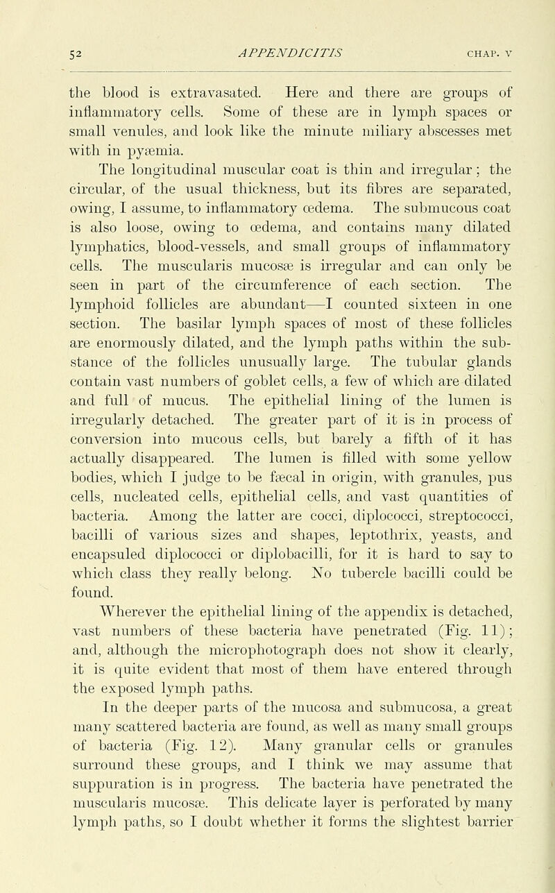 the blood is extravasated. Here and there are groups of inflammatory cells. Some of these are in lymph spaces or small venules, and look like the minute miliary abscesses met with in pyaemia. The longitudinal muscular coat is thin and irregular; the circular, of the usual thickness, but its fibres are separated, owing, I assume, to inflammatory cedema. The submucous coat is also loose, owing to cedema, and contains many dilated lymphatics, blood-vessels, and small groups of inflammatory cells. The muscularis mucosae is irregular and can only be seen in part of the circumference of each section. The lymphoid follicles are abundant—I counted sixteen in one section. The basilar lymph spaces of most of these follicles are enormously dilated, and the lymph paths within the sub- stance of the follicles unusually large. The tubular glands contain vast numbers of goblet cells, a few of which are dilated and full of mucus. The epithelial lining of the lumen is irregularly detached. The greater part of it is in process of conversion into mucous cells, but barely a fifth of it has actually disappeared. The lumen is filled with some yellow bodies, which I judge to be faecal in origin, with granules, pus cells, nucleated cells, epithelial cells, and vast quantities of bacteria. Among the latter are cocci, diplococci, streptococci, bacilli of various sizes and shapes, leptothrix, yeasts, and encapsuled diplococci or diplobacilli, for it is hard to say to which class they really belong. No tubercle bacilli could be found. Wherever the epithelial lining of the appendix is detached, vast numbers of these bacteria have penetrated (Fig. 11); and, although the microphotograph does not show it clearly, it is quite evident that most of them have entered through the exposed lymph paths. In the deeper parts of the mucosa and submucosa, a great many scattered bacteria are found, as well as many small groups of bacteria (Fig. 12). Many granular cells or granules surround these groups, and I think we may assume that suppuration is in progress. The bacteria have penetrated the muscularis mucosae. This delicate layer is perforated by many lymph paths, so I doubt whether it forms the slightest barrier