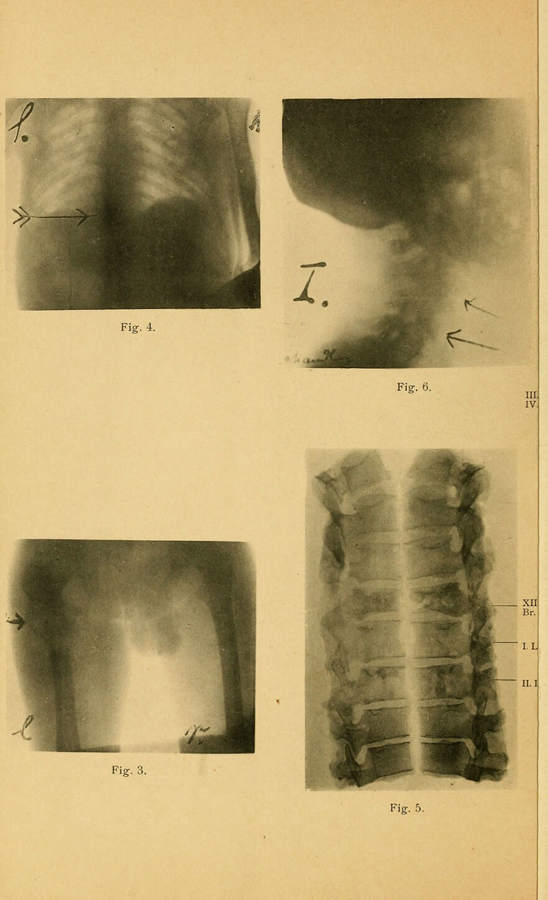 <: Fig. 6. Fig. 3. Fig. 5.