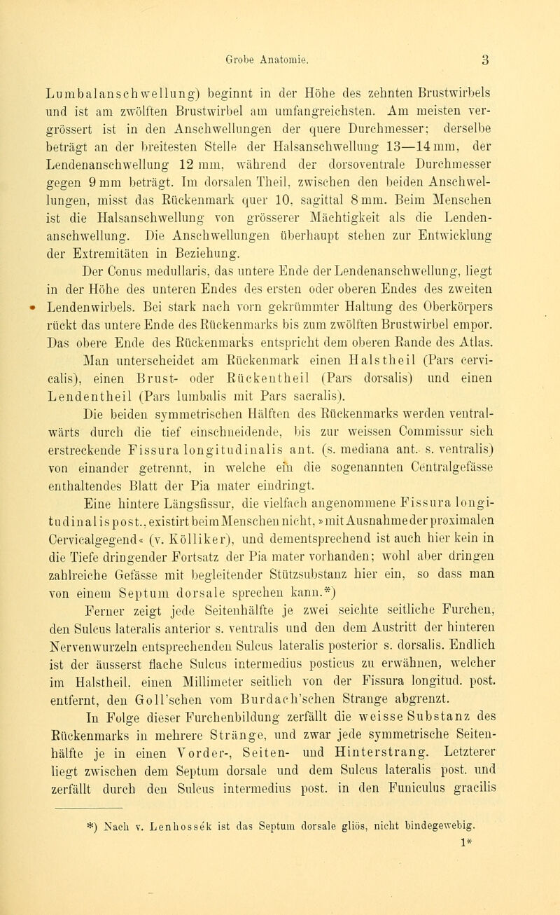 Lumbalanschwellung) beginnt in der Höhe des zehnten Brustwirbels und ist am zwölften Bj-ustwirbel am umfangreichsten. Am meisten ver- grössert ist in den Anschwellungen der quere Durchmesser; derselbe beträgt an der breitesten Stelle der Halsanschwelluug 13—14mm, der Lendenanschwellung 12 mm, während der dorsoventrale Durchmesser gegen 9 mm beträgt. Im dorsalen Theil, zwischen den beiden Anschw^el- lungen, misst das Eückenmark quer 10, sagittal 8 mm. Beim Menschen ist die Halsanschwellung von grösserer Mächtigkeit als die Lenden- anschwellung. Die Anschwellungen überhaupt stehen zur Entwicklung der Extremitäten in Beziehung. Der Conus medullaris, das untere Ende der Lendenanschwellung, liegt in der Höhe des unteren Endes des ersten oder oberen Endes des zweiten Lendenwirbels. Bei stark nach vorn gekrümmter Haltung des Oberkörpers rückt das untere Ende des Eückenmarks bis zum zwölften Brustwirbel empor. Das obere Ende des Eückenmarks entspricht dem oberen Eande des Atlas. Man unterscheidet am Eückenmark einen Hals theil (Pars cervi- ealis), einen Brust- oder Eückeutheil (Pars dorsalis) und einen Lendentheil (Pars lumbalis mit Pars sacralis). Die beiden symmetrischen Hälften des Eückenmarks werden ventral- wärts durch die tief einschneidende, bis zur weissen Oommissur sich erstreckende Fissura longitudinalis ant. (s. mediana ant. s. ventralis) von einander getrennt, in w^elche ein die sogenannten Centralgefässe enthaltendes Blatt der Pia mater eindringt. Eine hintere Längsfissur, die vielfach angenommene Fissura longi- tudinalis p o s t., existirt beim Menschen nicht,»mit Ausnahme der proximalen Oervicalgegend« (v. Kölliker), und dementsprechend ist auch hier kein in die Tiefe dringender Fortsatz der Pia mater vorhanden; wohl aber dringen zahlreiche Gefässe mit begleitender Stützsubstanz hier ein, so dass man von einem Septum dorsale sprechen kann.*) Ferner zeigt jede Seiteuhälfte je zwei seichte seitliche Furchen, den Sulcus lateralis anterior s. ventralis und den dem Austritt der hinteren Nervenwurzeln entsprechenden Sulcus lateralis posterior s. dorsalis. Endlich ist der äusserst flache Sulcus intermedius posticus zu erwähnen, w^elcher im Halstheil. einen Millimeter seitlich von der Fissura longitud. post. entfernt, den Goll'schen vom Burdach'schen Strange abgrenzt. In Folge dieser Furchenbildung zerfällt die weisse Substanz des Eückenmarks in mehrere Stränge, und zwar jede symmetrische Seiten- hälfte je in einen Vorder-, Seiten- und Hinterstrang. Letzterer liegt zwischen dem Septum dorsale und dem Sulcus lateralis post. und zerfällt durch den Sulcus intermedius post. in den Funiculus gracilis *) Nach V. Lenhossek ist das Septum dorsale gliös, nicht bindegewebig. 1*