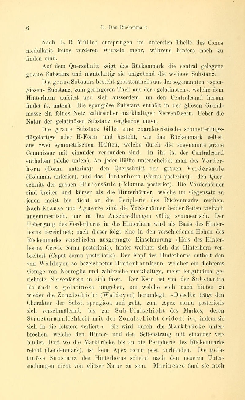 Nach L. E. Müller entspringen im untersten Theile des Conus medullaris keine vorderen Wurzeln mehr, während hintere noch zu finden sind. Auf dem Querschnitt zeigt das Eüekenmark die central gelegene graue Substanz und mantelartig sie umgebend die weisse Substanz. Die graue Substanz besteht grösstentheils aus der sogenannten »spon- giösen« Substanz, zum geringeren Theil aus der »gelatinösen«, welche dem Hinterhorn aufsitzt und sich ausserdem um den Centralcanal herum findet (s. unten). Die spongiöse Substanz enthält in der gliösen Grund- masse ein feines Netz zahlreicher markhaltiger Nervenfasern. Ueber die Natur der gelatinösen Substanz vergleiche unten. Die graue Substanz bildet eine charakteristische schmetterlings- flügelartige oder H-Form und besteht, wie das Eüekenmark selbst, aus zwei symmetrischen Hälften, welche durch die sogenannte graue Ooramissur mit einander verbunden sind. In ihr ist der Centralcanal enthalten (siehe unten). An jeder Hälfte unterscheidet man das Vorder- horn (Cornu anterius): den Querschnitt der grauen Vordersäule (Columna anterior), und das Hinterhorn (Cornu posterius): den Quer- schnitt der grauen Hintersäule (Columna posterior). Die Vorderhörner sind breiter und kürzer als die Hinterhörner, welche im Gegensatz zu jenen meist bis dicht an die Peripherie - des Eückenmarks reichen. Nach Krause und Aguerre sind die Vorderhörner beider Seiten vielfach unsymmetrisch, nur in den Anschwellungen völlig symmetrisch. Der Uebergang des Vorderhorns in das Hinterhorn wird als Basis des Hinter- horns bezeichnet; nach dieser folgt eine in den verschiedenen Höhen des Eückenmarks verschieden ausgeprägte Einschnürung (Hals des Hinter- horns, Cervix cornu posterioris), hinter welcher sich das Hinterhorn ver- breitert (Caput cornu posterioris). Der Kopf des Hinterhorus enthält den von Waldeyer so bezeichneten Hinterhornkern, welcher ein dichteres Gefüge von Neuroglia und zahlreiche markhaltige, meist longitudinal ge- richtete Nervenfasern in sich fasst. Der Kern ist von der Substantia Eolandi s. gelatinosa umgeben, um welche sich nach hinten zu wieder die Zonalschicht (Waldeyer) herumlegt. »Dieselbe trägt den Charakter der Subst. spongiosa und geht, zum Apex cornu posterioris sich verschmälernd, bis zur Sub-Pialschicht des Markes, deren Structurähnlichkeit mit der Zonalschicht evident ist, indem sie sich in die letztere verliert.« Sie wird durch die Mark brücke unter- brochen, welche den Hinter- und den Seitenstrang mit einander ver- bindet. Dort wo die Markbrücke bis an die Peripherie des Eückenmarks reicht (Lendenmark), ist kein Apex cornu post. vorhanden. Die gela- tinöse Substanz des Hinterhorns scheint nach den neueren Unter- suchungen nicht von gliöser Natur zu sein. Marinesco fand sie nach