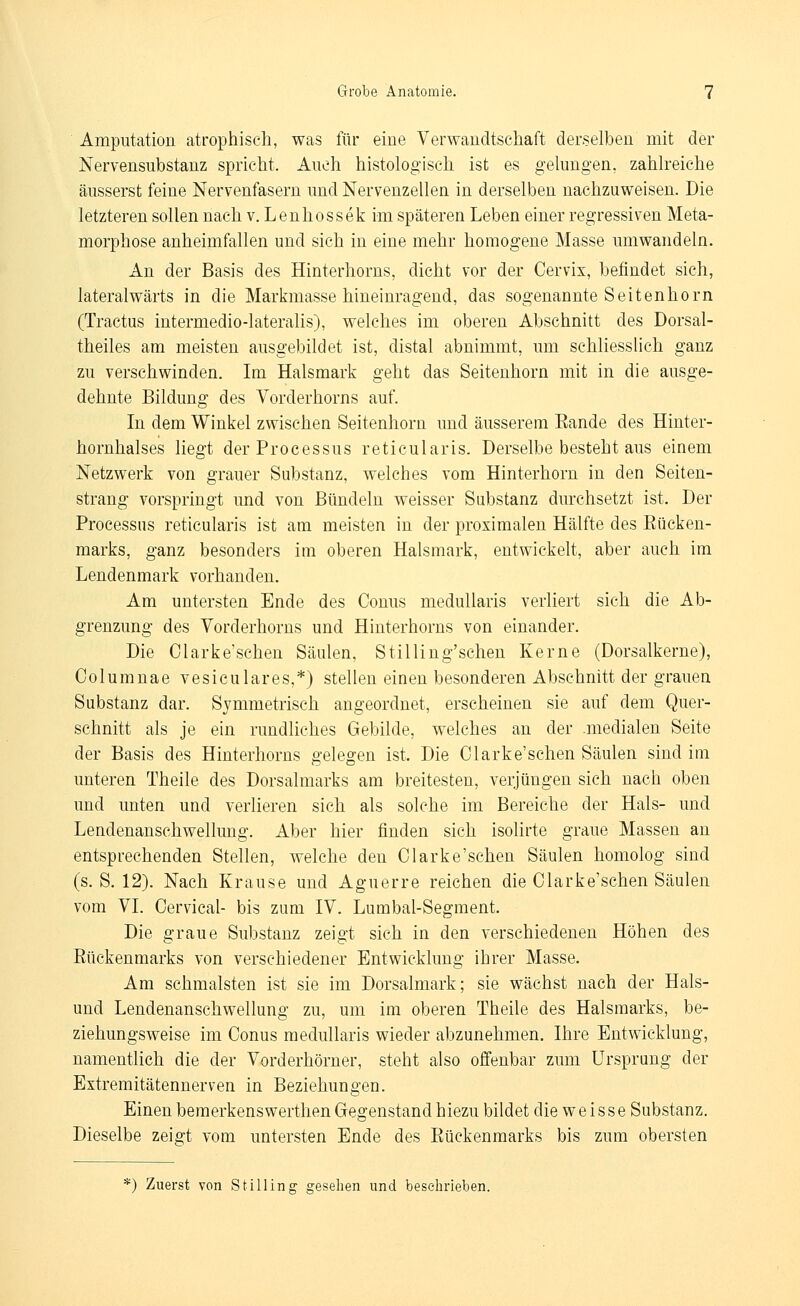 Amputation atrophisch, was für eine Verwandtschaft derselben mit der Nervensubstanz spricht. Auch histologisch ist es gelungen, zahlreiche äusserst feine Nervenfasern und Nervenzellen in derselben nachzuweisen. Die letzteren sollen nach v. Lenhossek im späteren Leben einer regressiven Meta- morphose anheimfallen und sich in eine mehr homogene Masse umwandeln. An der Basis des Hinterhorns, dicht vor der Cervix, befindet sich, lateralwärts in die Markmasse hineinragend, das sogenannte Seitenhorn (Tractus intermedio-lateralis), welches im oberen Abschnitt des Dorsal- theiles am meisten ausgebildet ist, distal abnimmt, um schliesslich ganz zu verschwinden. Im Halsmark geht das Seitenhorn mit in die ausge- dehnte Bildung des Vorderhorns auf. In dem Winkel zwischen Seitenhorn und äusserem Eande des Hinter- hornhalses liegt der Processus reticularis. Derselbe besteht aus einem Netzwerk von grauer Substanz, welches vom Hinterhorn in den Seiten- strang vorspringt und von Bündeln weisser Substanz durchsetzt ist. Der Processus reticularis ist am meisten in der proximalen Hälfte des Eücken- marks, ganz besonders im oberen Halsmark, entwickelt, aber auch im Lendenmark vorhanden. Am untersten Ende des Conus medullaris verliert sich die Ab- grenzung des Vorderhorns und Hinterhorns von einander. Die Clarke'sehen Säulen, Stilling'schen Kerne (Dorsalkerne), Columnae vesiculares,*) stellen einen besonderen Abschnitt der grauen Substanz dar. Symmetrisch angeordnet, erscheinen sie auf dem Quer- schnitt als je ein rundliches Gebilde, welches an der .medialen Seite der Basis des Hinterhorns gelegen ist. Die Olarke'schen Säulen sind im unteren Theile des Dorsalmarks am breitesten, verjüngen sich nach oben und unten und verlieren sich als solche im Bereiche der Hals- und Lendenanschwellung. Aber hier finden sich isolirte graue Massen an entsprechenden Stellen, welche den Olarke'schen Säulen homolog sind (s. S. 12). Nach Krause und Aguerre reichen die Olarke'schen Säulen vom VI. Cervical- bis zum IV. Lumbal-Segment. Die graue Substanz zeigt sich in den verschiedenen Höhen des Rückenmarks von verschiedener Entwicklung ihrer Masse. Am schmälsten ist sie im Dorsalmark; sie wächst nach der Hais- und Lendenanschwellung zu, um im oberen Theile des Halsmarks, be- ziehungsweise im Oonus medullaris wieder abzunehmen. Ihre Entwicklung, namentlich die der Vorderhörner, steht also offenbar zum Ursprung der Extremitätennerven in Beziehungen. Einen bemerkenswerthen Gegenstand hiezu bildet die w e i s s e Substanz. Dieselbe zeigt vom untersten Ende des Eüekenmarks bis zum obersten '*) Zuerst von Stilling gesehen und beschrieben.