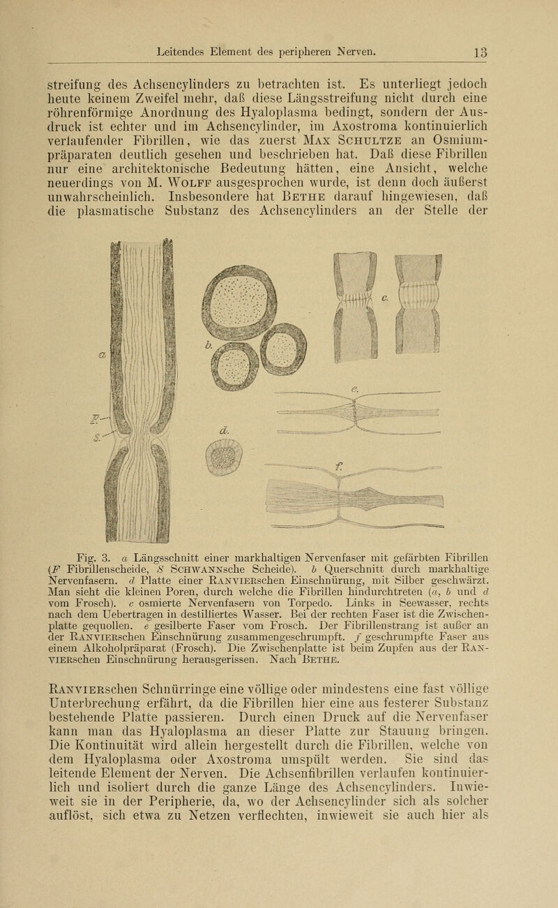 Streifung des Achsencylinders zu betrachten ist. Es unterliegt jedoch heute keinem Zweifel mehr, daß diese Längsstreifung nicht durch eine röhrenförmige Anordnung des Hyaloplasma bedingt, sondern der Aus- druck ist echter und im Achsencylinder, im Axostroma kontinuierlich verlaufender Fibrillen, wie das zuerst Max Schultze an Osmium- präparaten deutlich gesehen und beschrieben hat. Daß diese Fibrillen nur eine architektonische Bedeutung hätten, eine Ansicht, welche neuerdings von M. Wolfp ausgesprochen wurde, ist denn doch äußerst unwahrscheinlich. Insbesondere hat Bethe darauf hingewiesen, daß die plasmatische Substanz des Achsencylinders an der Stelle der d- ^<X^- Fig. 3. a Längsschnitt einer markhaltigen Nervenfaser mit gefärbten Fibrillen {F Fibrillenscheide, 8 ScHWANNsche Scheide), h Querschnitt durch markhaltige Nervenfasern, d Platte einer RANViERschen Einschnürung, mit Silber geschvi'ärzt. Man sieht die kleinen Poren, durch welche die Fibrillen hindurchtreten («, h und d vom Frosch), c osmierte Nervenfasern von Torpedo. Links in Seewasser, rechts nach dem Uebertragen in destilliertes Wasser. Bei der rechten Faser ist die Zwischen- platte gequollen, e gesilberte Faser vom Frosch. Der Fibrillen sträng ist außer an der EANVlERschen Einschnürung zusammengeschrumpft. / geschrumpfte Faser aus einem Alkoholpräparat (Frosch). Die Zwischenplatte ist beim Zupfen aus der Rax- viERscheu Einschnürung herausgerissen. Nach Bethe. RANViERSchen Schnürringe eine völlige oder mindestens eine fast völlige Unterbrechung erfährt, da die Fibrillen hier eine aus festerer Substanz bestehende Platte passieren. Durch einen Druck auf die Nervenfaser kann man das Hyaloplasma an dieser Platte zur Stauung bringen. Die Kontinuität wird allein hergestellt durch die Fibrillen, welche von dem Hyaloplasma oder Axostroma umspült werden. Sie sind das leitende Element der Nerven. Die Achsenfibrillen verlaufen kontinuier- lich und isoliert durch die ganze Länge des Achsencylinders. Inwie- weit sie in der Peripherie, da, wo der Achsencylinder sich als solcher auflöst, sich etwa zu Netzen verflechten, inwieweit sie auch hier als