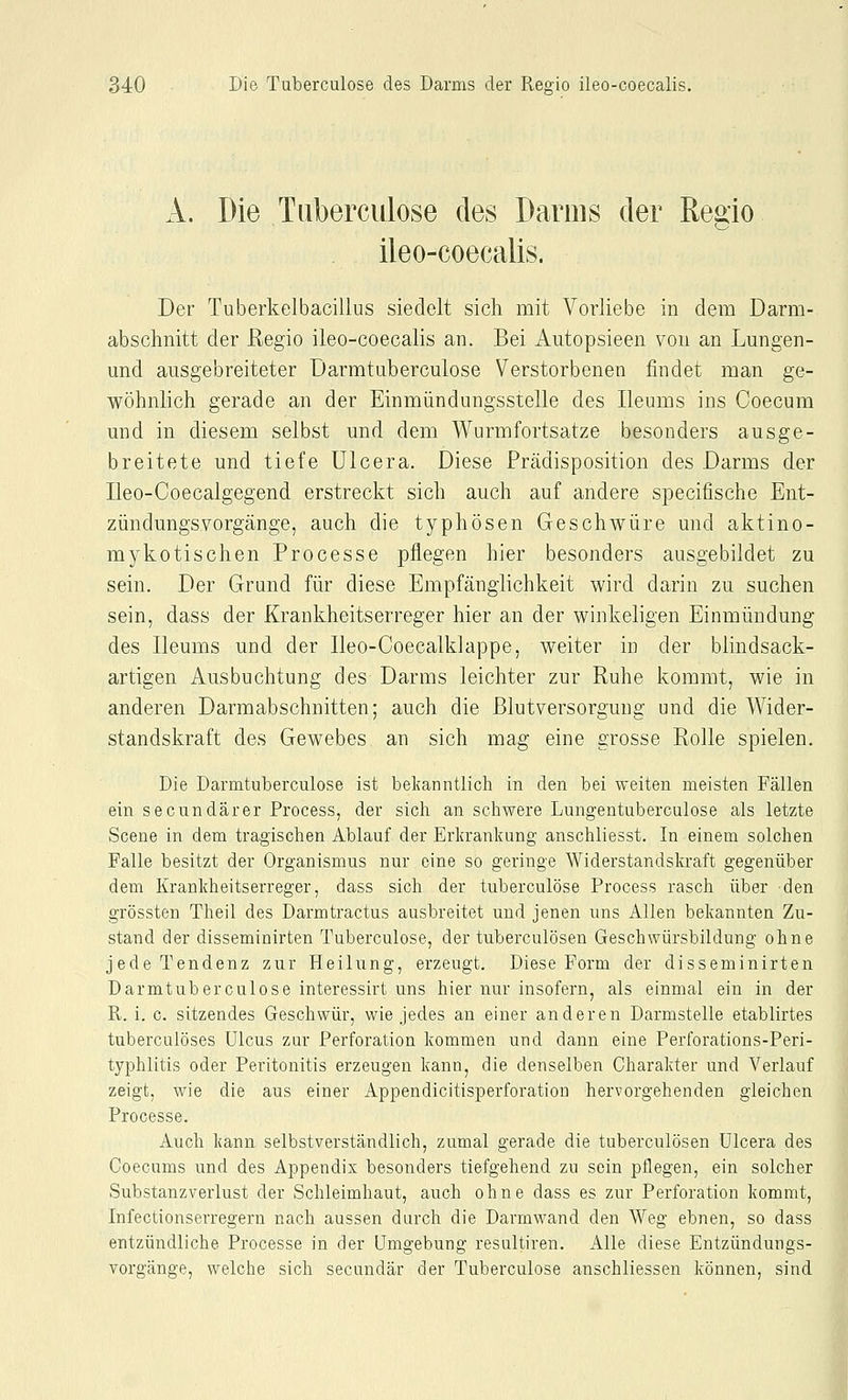 A. Die Tuberculose des Darms der Regio ileo-coecalis. Der Tuberkelbacillus siedelt sich mit Vorliebe in dem Darm- abschnitt der Regio ileo-coecalis an. Bei Autopsieen von an Lungen- und ausgebreiteter Darmtuberculose Verstorbenen findet man ge- wöhnlich gerade an der Einmiindungsstelle des Ileums ins Coecum mid in diesem selbst und dem Wurmfortsatze besonders ausge- breitete und tiefe Ulcera. Diese Prädisposition des Darms der Ileo-Coecalgegend erstreckt sich auch auf andere specifische Ent- zündungsvorgänge, auch die typhösen Geschwüre und aktino- mykotischen Processe pflegen hier besonders ausgebildet zu sein. Der Grund für diese Empfänglichkeit wird darin zu suchen sein, dass der Krankheitserreger hier an der winkeligen Einmündung des Ileums und der Ileo-Coecalklappe, weiter in der blindsack- artigen Ausbuchtung des Darms leichter zur Ruhe kommt, wie in anderen Darmabschnitten; auch die ßlutversorgung und die Wider- standskraft des Gewebes an sich mag eine grosse Rolle spielen. Die Darmtuberculose ist bekanntlich in den bei weiten meisten Fällen ein secundärer Process, der sich an schwere Lungentuberculose als letzte Scene in dem tragischen Ablauf der Erkrankung anschliesst. In einem solchen Falle besitzt der Organismus nur eine so geringe Widerstandskraft gegenüber dem Krankheitserreger, dass sich der tuberculose Process rasch über den grössten Theil des Darmtractus ausbreitet und jenen uns Allen bekannten Zu- stand der disseminirten Tuberculose, der tuberculösen Geschwürsbildung ohne jede Tendenz zur Heilung, erzeugt. Diese Form der disseminirten Darmtuberculose interessirt uns hier nur insofern, als einmal ein in der R. i. c. sitzendes Geschwür, wie jedes an einer anderen Darmstelle etablirtes tuberculöses Ulcus zur Perforation kommen und dann eine Perforations-Peri- typhlitis oder Peritonitis erzeugen kann, die denselben Charakter und Verlauf zeigt, wie die aus einer Appendicitisperforation hervorgehenden gleichen Processe. Auch kann selbstverständlich, zumal gerade die tuberculösen Ulcera des Coecums und des Appendix besonders tiefgehend zu sein pflegen, ein solcher Substanzverlust der Schleimhaut, auch ohne dass es zur Perforation kommt, Infectionserregern nach aussen durch die Darmwand den Weg ebnen, so dass entzündliche Processe in der Umgebung resultiren. Alle diese Entzündungs- vorgänge, welche sich secundär der Tuberculose anschliessen können, sind