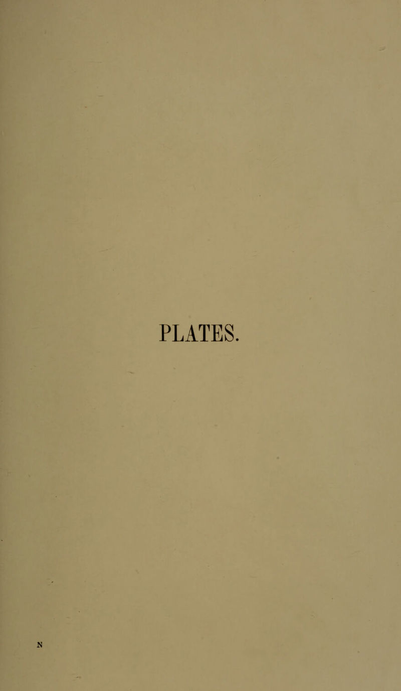 PLATES. N