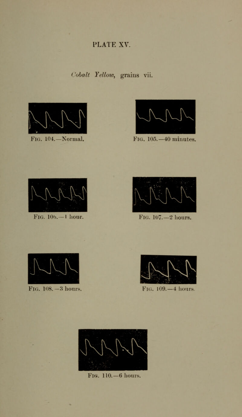 Cobalt Yelloiv, grains vii. Fig. 104.—Normal. Fig. 105.—40 minutes. Fig. 10b.—I jiour Fig. 107.—2 hours. Fig. 108.-8 hours. Fig. 109.—4 liours. Fig. 110.—6 hours.
