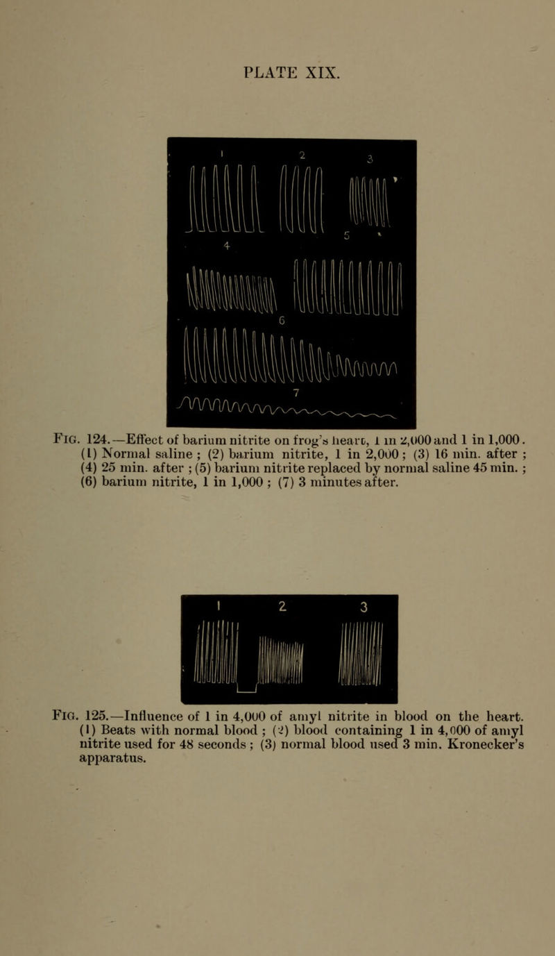 Fig. 124.—Effect of barium nitrite on frog's liearo, 1 in i^,()00 and 1 in 1,000. (I) Normal saline ; (2) barium nitrite, 1 in 2,000; (3) 16 min. after ; (4) 25 min. after ; (5) barium nitrite replaced by normal saline 45 min.; (6) barium nitrite, 1 in 1,000 ; (7) 3 minutes after. Fig. 125.—Influence of 1 in 4,0U0 of amy I nitrite in blood on the heart. (I) Beats with normal blood ; ('2) blood containing 1 in 4,000 of amyl nitrite used for 48 seconds ; (3) normal blood used 3 min. Kronecker's apparatus.