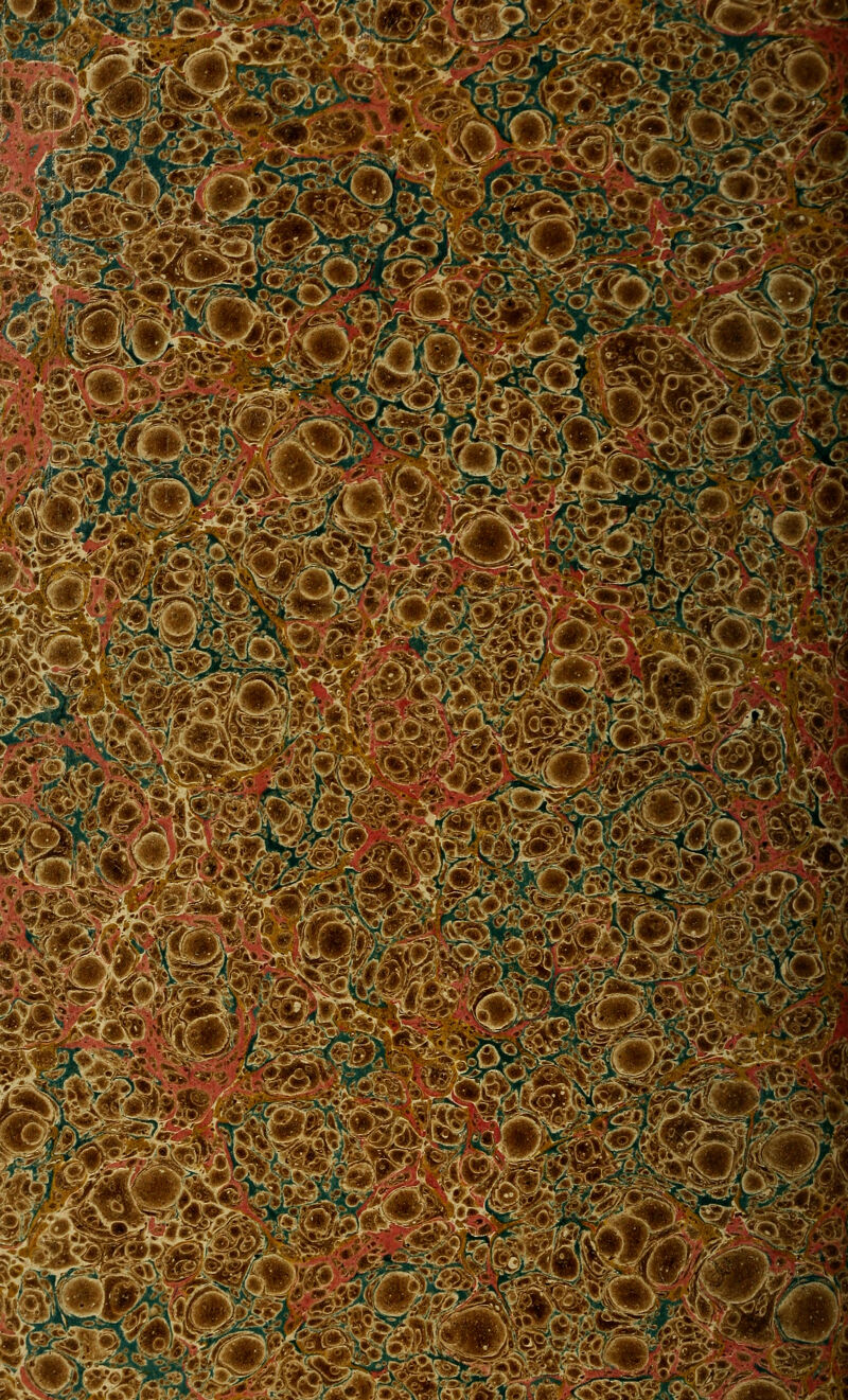 No text description is available for this image