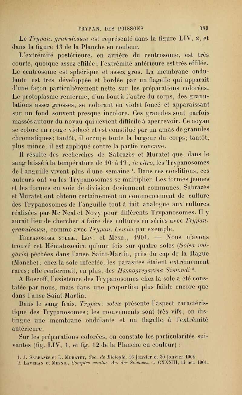 Le Trypan. granulosum est représenté clans la figure LIV, 2, et dans la figure 13 de la Planche en couleur. L'extrémité postérieure, en arrière du centrosome, est très courte, quoique assez effilée; l'extrémité antérieure est très effilée. Le centrosome est sphérique et assez gros. La membrane ondu- lante est très développée et bordée par un flagelle qui apparaît d'une façon particulièrement nette sur les préparations colorées. Le protoplasme renferme, d'un bout à l'autre du corps, des granu- lations assez grosses, se colorant en violet foncé et apparaissant sur un fond souvent presque incolore. Ces granules sont parfois massés autour du noyau qui devient difficile à apercevoir. Ce noyau se colore en rouge violacé et est constitué par un amas de granules chromatiques; tantôt, il occupe toute la largeur du corps; tantôt, plus mince, il est appliqué contre la partie concave. Il résulte des recherches de Sabrazès et Muratet que, dans le sang laissé à la température de 10° à 19°, in vitro, les ïrypanosomes de l'anguille vivent plus d'une semaine i. Dans ces conditions, ces auteurs ont vu les Trypanosomes se multiplier. Les formes jeunes et les formes en voie de division deviennent communes. Sabrazès et Muratet ont obtenu certainement un commencement de culture des Trypanosomes de l'anguille tout à fait analogue aux cultures réalisées par Me Nealet Novy pour différents ïrypanosomes. Il y aurait lieu de chercher à faire des cultures en séries avec Trypan. granulosum, comme avec Trypan. Lewisi par exemple. Trypanosoma soLEiE, Lav. et Mesn., 1901. — Nous n'avons trouvé cet Hématozoaire qu'une fois sur quatre soles (Solea vul- garis) pêchées clans l'anse Saint-Martin, près du cap de la Hague (Manche); chez la sole infectée, les parasites étaient extrêmement rares; elle renfermait, en plus, des Hsemogregarina Simondi2. A Roscoff, l'existence des Trypanosomes chez la sole a été cons- tatée par nous, mais dans une proportion plus faible encore que dans l'anse Saint-Martin. Dans le sang frais, Trypan. soless présente l'aspect caractéris- tique des Trypanosomes ; les mouvements sont très vifs ; on dis- tingue une membrane ondulante et un flagelle à l'extrémité antérieure. Sur les préparations colorées, on constate les particularités sui- vantes (fig. LIV, 1, et fig. 12 de la Planche en couleur) : 1. J. Sabrazès et L. Muratet, Soc. de Biologie, 16 janvier et 30 janvier 1904. 2. Laveran et Mesnil, Comptes rendus Ac. des Sciences, t. CXXXI1I, 14 oct. 1901.