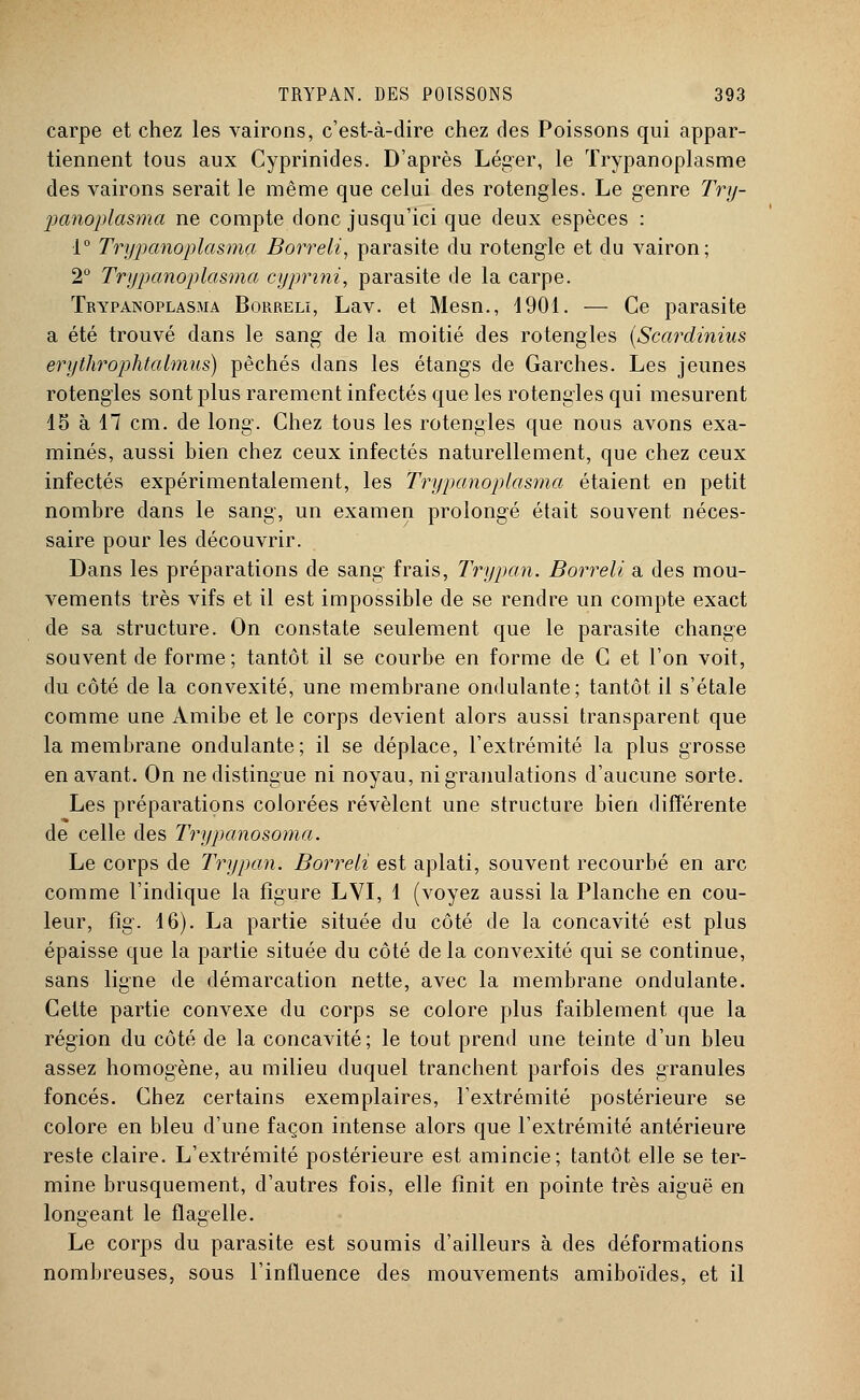 carpe et chez les vairons, c'est-à-dire chez des Poissons qui appar- tiennent tous aux Cyprinides. D'après Léger, le Trypanoplasme des vairons serait le même que celui des rotengles. Le genre Try- panoplasma ne compte donc jusqu'ici que deux espèces : 1° Trypanoplasma Borreli, parasite du rotengle et du vairon; 2° Trypanoplasma cyprini, parasite de la carpe. Trypanoplasma Borreli, Lav. et Mesn., 4901. — Ce parasite a été trouvé dans le sang de la moitié des rotengles (Scardinius erythrophtalmus) péchés dans les étangs de Garches. Les jeunes rotengles sont plus rarement infectés que les rotengles qui mesurent 15 à 47 cm. de long. Chez tous les rotengles que nous avons exa- minés, aussi bien chez ceux infectés naturellement, que chez ceux infectés expérimentalement, les Trypanoplasma étaient en petit nombre dans le sang-, un examen prolongé était souvent néces- saire pour les découvrir. Dans les préparations de sang- frais, Trypan. Borreli a des mou- vements très vifs et il est impossible de se rendre un compte exact de sa structure. On constate seulement que le parasite change souvent de forme ; tantôt il se courbe en forme de C et l'on voit, du côté de la convexité, une membrane ondulante; tantôt il s'étale comme une Amibe et le corps devient alors aussi transparent que la membrane ondulante; il se déplace, l'extrémité la plus grosse en avant. On ne distingue ni noyau, ni granulations d'aucune sorte. Les préparations colorées révèlent une structure bien différente de celle des Trypanosoma. Le corps de Trypan. Borreli est aplati, souvent recourbé en arc comme l'indique la figure LVI, 4 (voyez aussi la Planche en cou- leur, fîg. 46). La partie située du côté de la concavité est plus épaisse que la partie située du côté de la convexité qui se continue, sans ligne de démarcation nette, avec la membrane ondulante. Cette partie convexe du corps se colore plus faiblement que la région du côté de la concavité; le tout prend une teinte d'un bleu assez homogène, au milieu duquel tranchent parfois des granules foncés. Chez certains exemplaires, l'extrémité postérieure se colore en bleu d'une façon intense alors que l'extrémité antérieure reste claire. L'extrémité postérieure est amincie; tantôt elle se ter- mine brusquement, d'autres fois, elle finit en pointe très aiguë en longeant le flagelle. Le corps du parasite est soumis d'ailleurs à des déformations nombreuses, sous l'influence des mouvements amiboïdes, et il