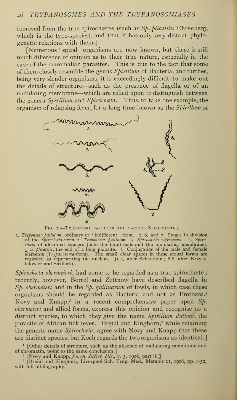 removed from the true spirochetes (such as Sp. plicatilis Ehrenberg, which is the type-species), and that it has only very distant phylo- genetic relations with them.] [Numerous ' spiral ' organisms are now known, but there is still much difference of opinion as to their true nature, especially in the case of the mammalian parasites. This is due to the fact that some of them closely resemble the genus Spirillum of Bacteria, and further, being very slender organisms, it is exceedingly difficult to make out the details of structure—such as the presence of flagella or of an undulating membrane-—which are relied upon to distinguish between the genera Spirillum and Spirochœta. Thus, to take one example, the organism of relapsing fever, for a long time known as the Spirillum or 4. Fig. 7.—Treponema pallidum and various Spirochetes. 1. Treponema pallidum, ordinary or 'indifferent' form. 2,6, and 7. Stages in division of the Spirochœta-iovm. of Treponema- pallidum. 3. Spirochœta refringens. 4. Spiro- chœta of ulcerated cancers (note the blunt ends and the undulating membrane). 5. S. plicatilis, the end of a long parasite. 8. Conjugation of the male and female elements (Trypanosoma-iorm). The small clear spaces in these sexual forms are regarded as representing the nucleus. (1-5, after Schaudinn ; 6-8, after Krzysz- talowicz and Siedlecki). Spirochœta obermeieri, had come to be regarded as a true spirochete ; recently, however, Borrel and Zettnow have described flagella in Sp. obermeieri and in the Sp. gallinarum of fowls, in which case these organisms should be regarded as Bacteria and not as Protozoa.1 Novy and Knapp,2 in a recent comprehensive paper upon Sp. obermeieri and allied forms, express this opinion and recognise as a distinct species, to which they give the name Spirillum duttoni, the parasite of African tick fever. Breinl and Kinghorn,3 while retaining the generic name Spirochœta, agree with Novy and Knapp that these are distinct species, but Koch regards the two organisms as identical.] 1 [Other details of structure, such as the absence of undulating membrane and of chromatin, point to the same conclusion.] 2 [Novy and Knapp, Journ. Infect. Dis., v. 3, 1906, part iii.] 3 [Breinl and Kinghom, Liverpool Sch. Trop. Med., Memoir 21, 1906, pp. 1-52, with full bibliography.]