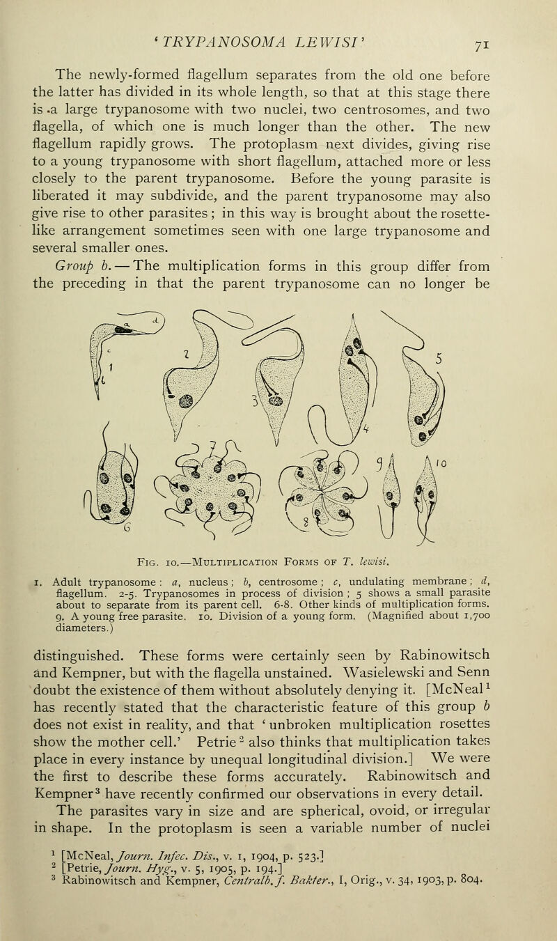 1 TR YPA NO SOMA LE WISI ' The newly-formed flagellum separates from the old one before the latter has divided in its whole length, so that at this stage there is -a large trypanosome with two nuclei, two centrosomes, and two flagella, of which one is much longer than the other. The new flagellum rapidly grows. The protoplasm next divides, giving rise to a young trypanosome with short flagellum, attached more or less closely to the parent trypanosome. Before the young parasite is liberated it may subdivide, and the parent trypanosome may also give rise to other parasites ; in this way is brought about the rosette- like arrangement sometimes seen with one large trypanosome and several smaller ones. Group b. — The multiplication forms in this group differ from the preceding in that the parent trypanosome can no longer be Fig. 10.—Multiplication Forms of T. lewisi. 1. Adult trypanosome : a, nucleus ; b, centrosome ; c, undulating membrane ; d, flagellum. 2-5. Trypanosomes in process of division ; 5 shows a small parasite about to separate from its parent cell. 6-8. Other kinds of multiplication forms. 9. A young free parasite. 10. Division of a young form, (Magnified about 1,700 diameters.) distinguished. These forms were certainly seen by Rabinowitsch and Kempner, but with the flagella unstained. Wasielewski and Senn doubt the existence of them without absolutely denying it. [McNeal1 has recently stated that the characteristic feature of this group b does not exist in reality, and that ' unbroken multiplication rosettes show the mother cell.' Pétrie2 also thinks that multiplication takes place in every instance by unequal longitudinal division.] We were the first to describe these forms accurately. Rabinowitsch and Kempner3 have recently confirmed our observations in every detail. The parasites vary in size and are spherical, ovoid, or irregular in shape. In the protoplasm is seen a variable number of nuclei 1 [McNeal, Jonrn. Infec. Dzs., v. 1, 1904, p. 523.] 2 [Pétrie, Journ. Hyg., v. 5, 1905, p. 194.] 3 Rabinowitsch andKempner, Centralb.f. Bakfer., I, Orig., v. 34, 1903, p. 804.