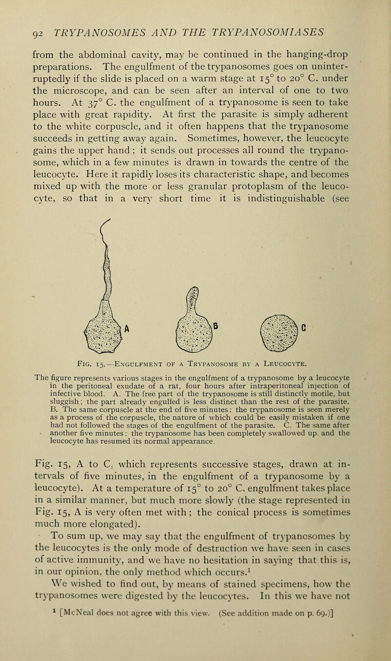 from the abdominal cavity, may be continued in the hanging-drop preparations. The engulfment of the trypanosomes goes on uninter- ruptedly if the slide is placed on a warm stage at 150 to 20° C. under the microscope, and can be seen after an interval of one to two hours. At 370 C. the engulfment of a trypanosome is seen to take place with great rapidity. At first the parasite is simply adherent to the white corpuscle, and it often happens that the trypanosome succeeds in getting away again. Sometimes, however, the leucocyte gains the upper hand ; it sends out processes all round the trypano- some, which in a few minutes is drawn in towards the centre of the leucocyte. Here it rapidly loses its characteristic shape, and becomes mixed up with the more or less granular protoplasm of the leuco- cyte, so that in a very short time it is indistinguishable (see Fig. 15.—Engulfment of a Trypanosome by a Leucocyte. The figure represents various stages in the engulfment of a trypanosome by a leucocyte in the peritoneal exudate of a rat, four hours after intraperitoneal injection of infective blood. A. The free part of the trypanosome is still distinctly motile, but sluggish ; the part already engulfed is less distinct than the rest of the parasite. B. The same corpuscle at the end of five minutes : the trypanosome is seen merely as a process of the corpuscle, the nature of which could be easily mistaken if one had not followed the stages of the engulfment of the parasite. C. The same after another five minutes : the trypanosome has been completely swallowed up. and the leucocyte has resumed its normal appearance. Fig. 15, A to C, which represents successive stages, drawn at in- tervals of five minutes, in the engulfment of a trypanosome by a leucocyte). At a temperature of 150 to 200 C. engulfment takes place in a similar manner, but much more slowly (the stage represented in Fig. 15, A is very often met with ; the conical process is sometimes much more elongated). To sum up, we may say that the engulfment of trypanosomes by the leucocytes is the only mode of destruction we have seen in cases of active immunity, and we have no hesitation in saying that this is, in our opinion, the only method which occurs.1 We wished to find out, by means of stained specimens, how the trypanosomes were digested by the leucocytes. In this we have not 1 [McNeal does not agree with this view. (See addition made on p. 69.)]